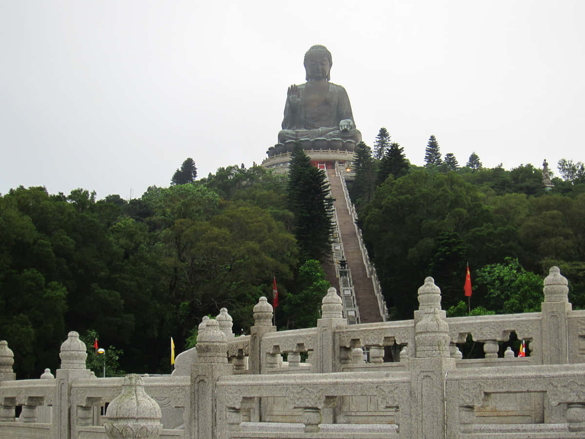 Tian Tan Buddha, lush green hill, ornate stone balustrade, SD Desktop Wallpaper