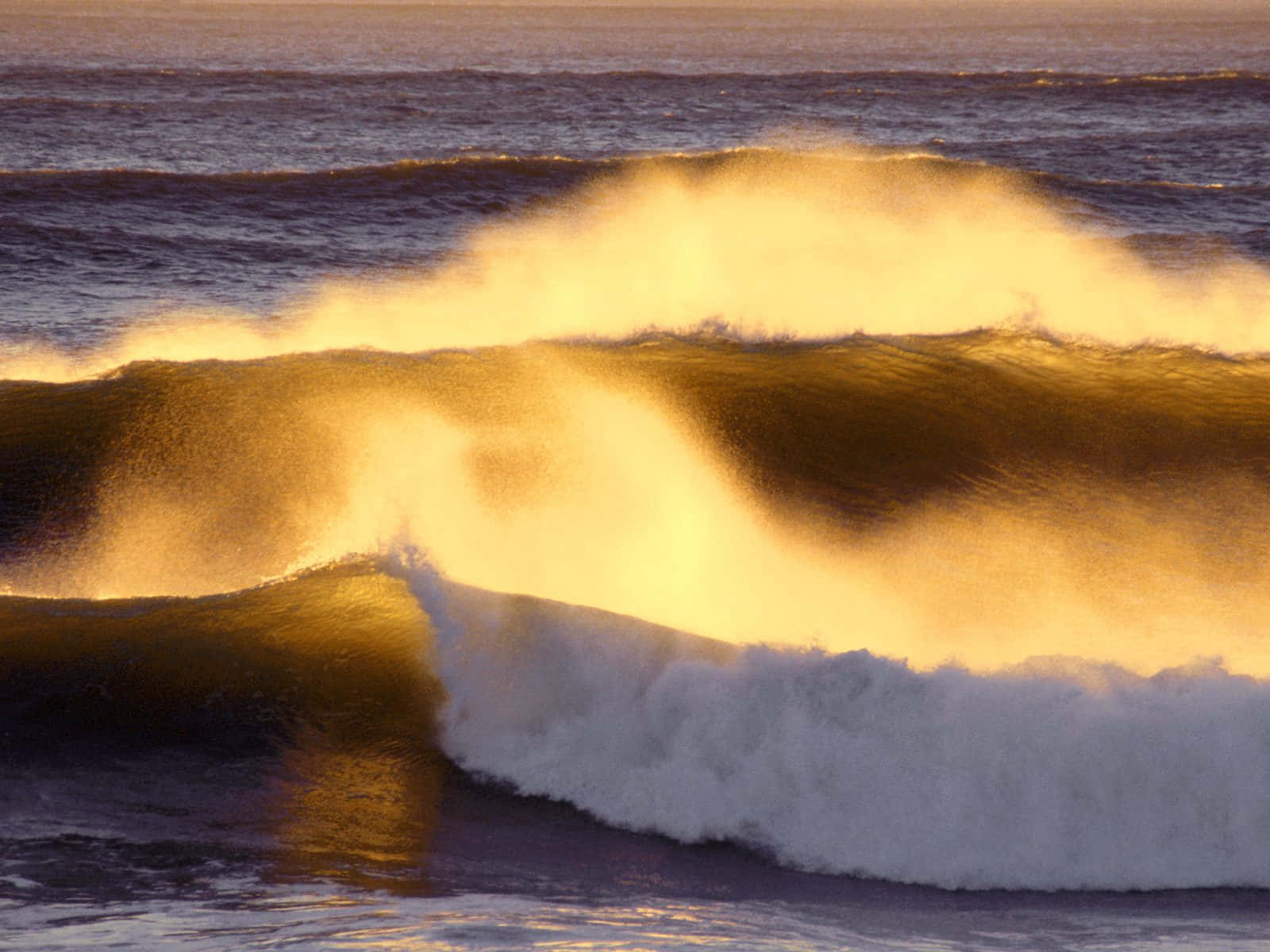 Tides, Golden Hour, ocean wave, HD Desktop Wallpaper