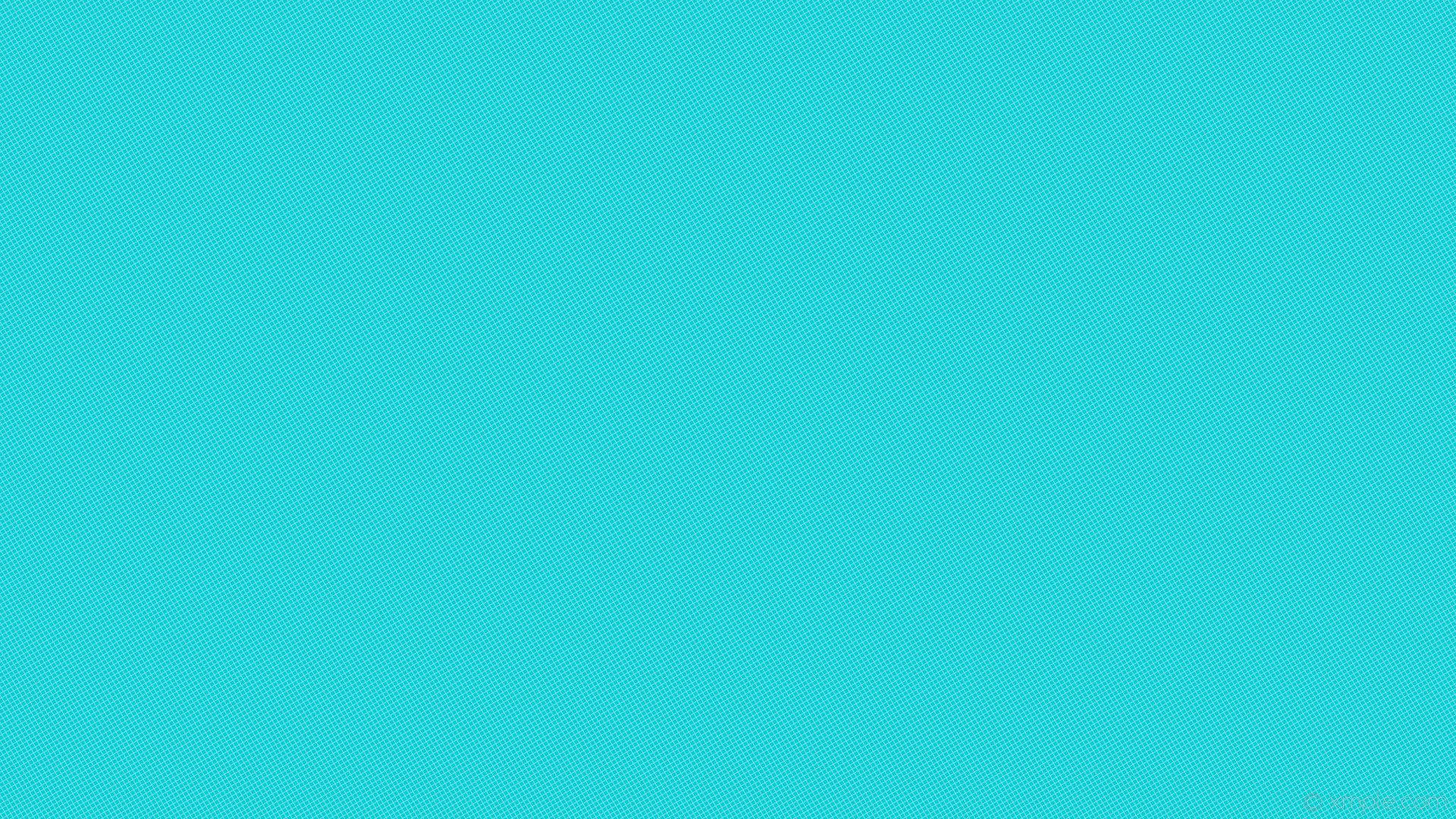 Tiffany Blue, cyan, halftone dot pattern, Full HD Desktop Wallpaper