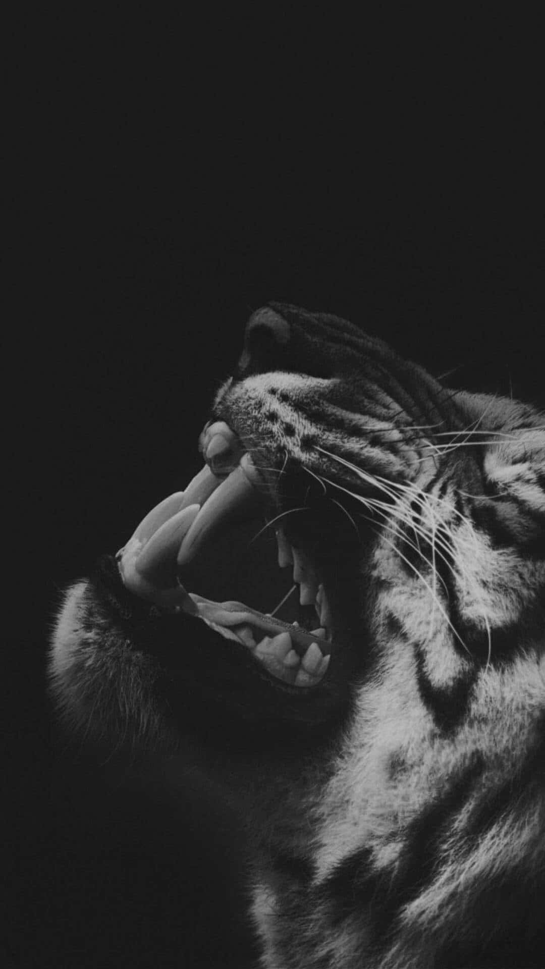 tiger, roaring, monochrome, Full HD Phone Wallpaper