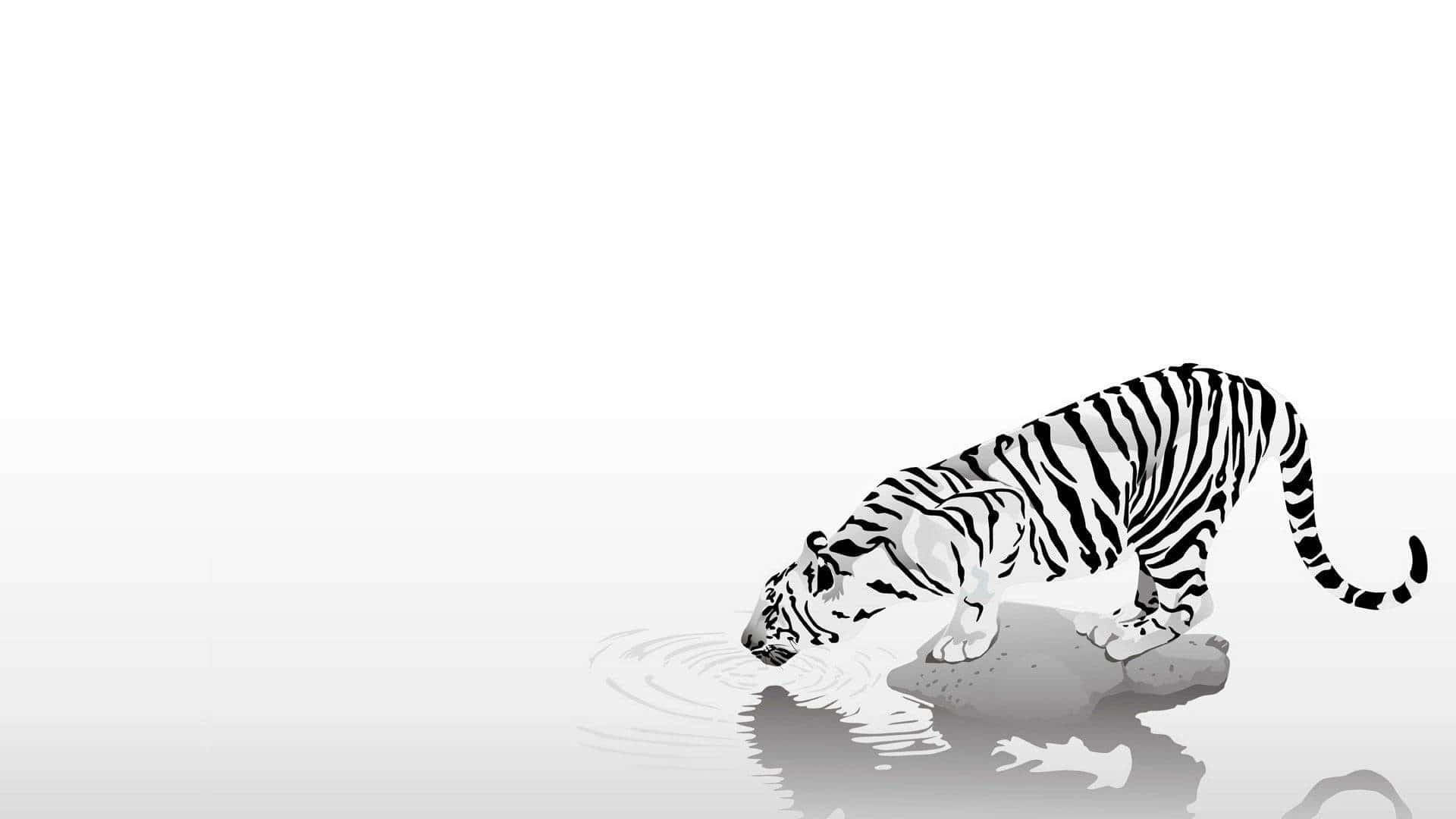 white tiger, black stripes, rock, Full HD Desktop Wallpaper