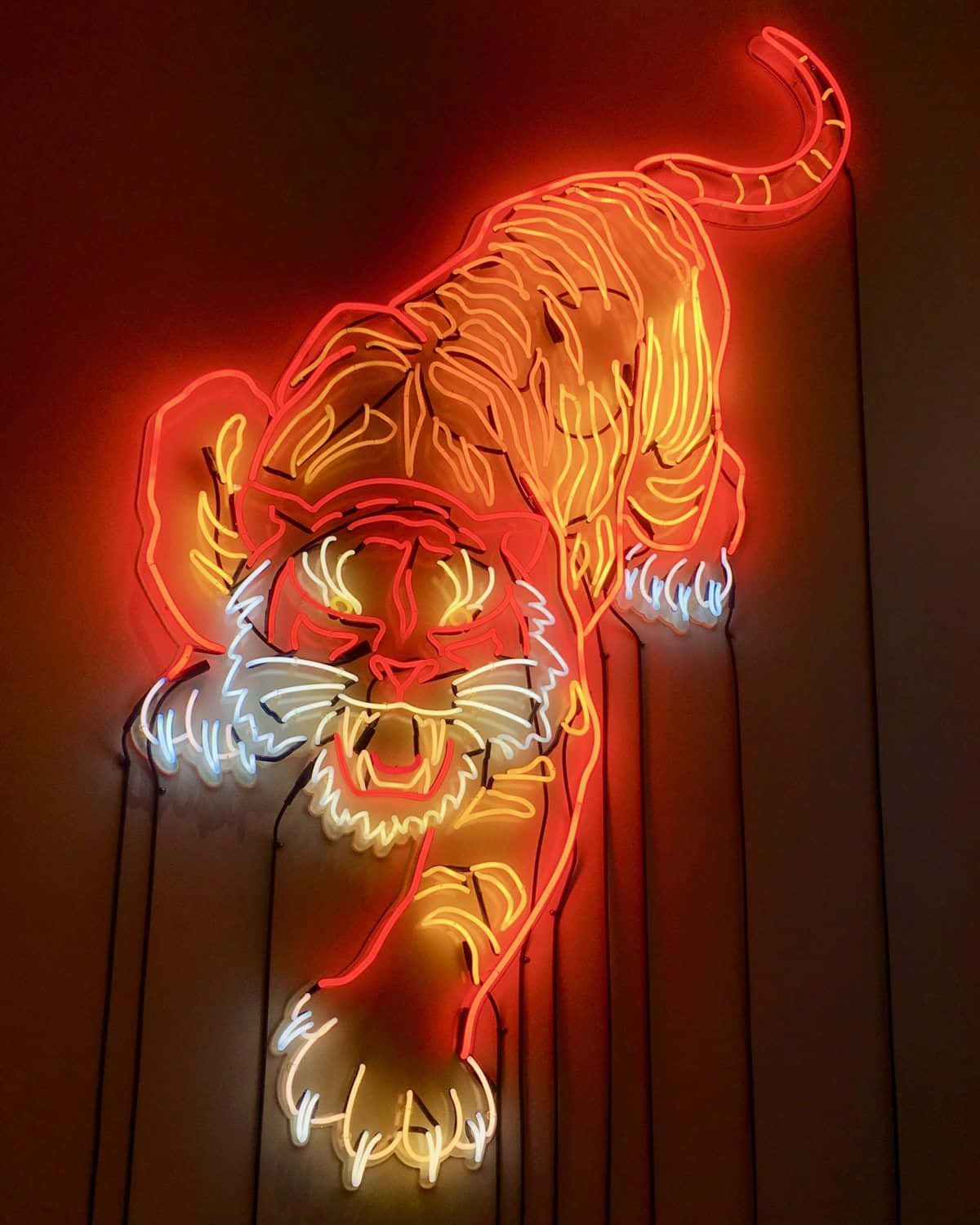 neon tiger artwork, red orange, white tubes, HD Phone Wallpaper