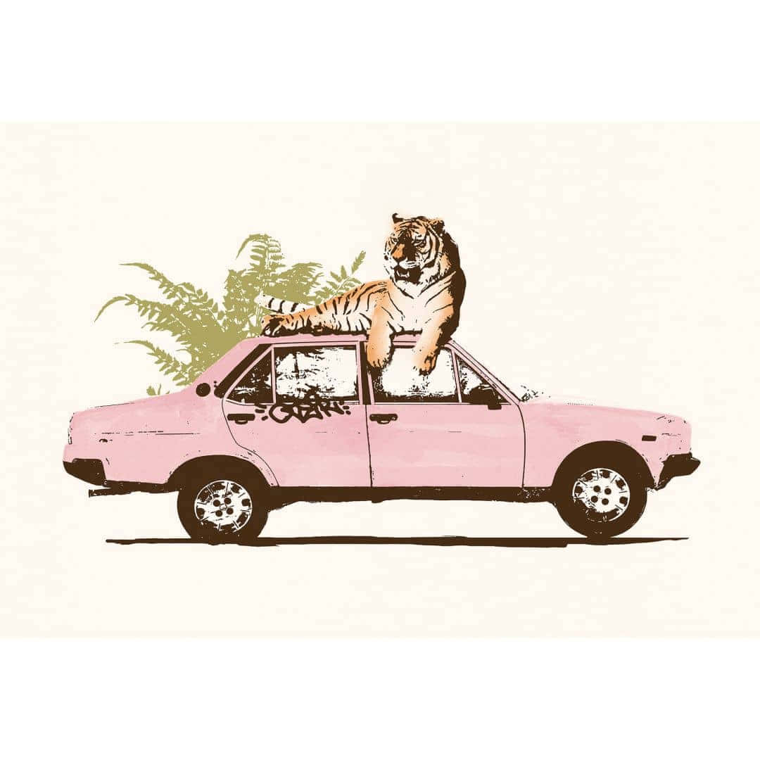 vintage pink car, tiger, fern, SD Desktop Wallpaper