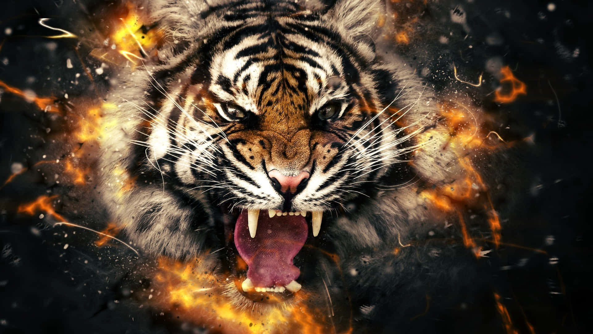 Tiger Face, fire, roars, Full HD Desktop Wallpaper