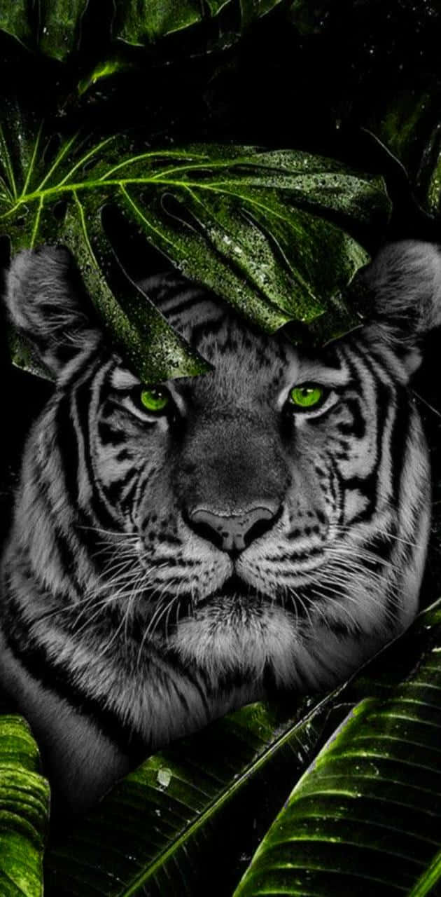Tiger Face, glowing green eyes, lush dark green tropical leaves, HD Phone Wallpaper