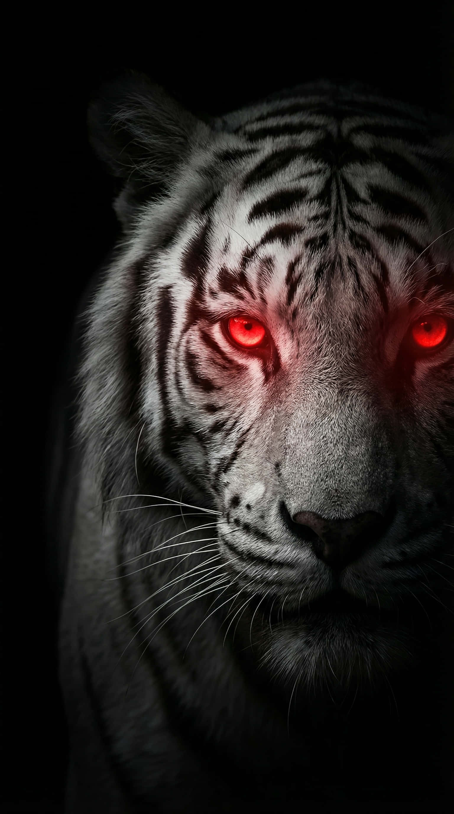 white tiger, glowing red eyes, pitch black background, 2K Phone Wallpaper