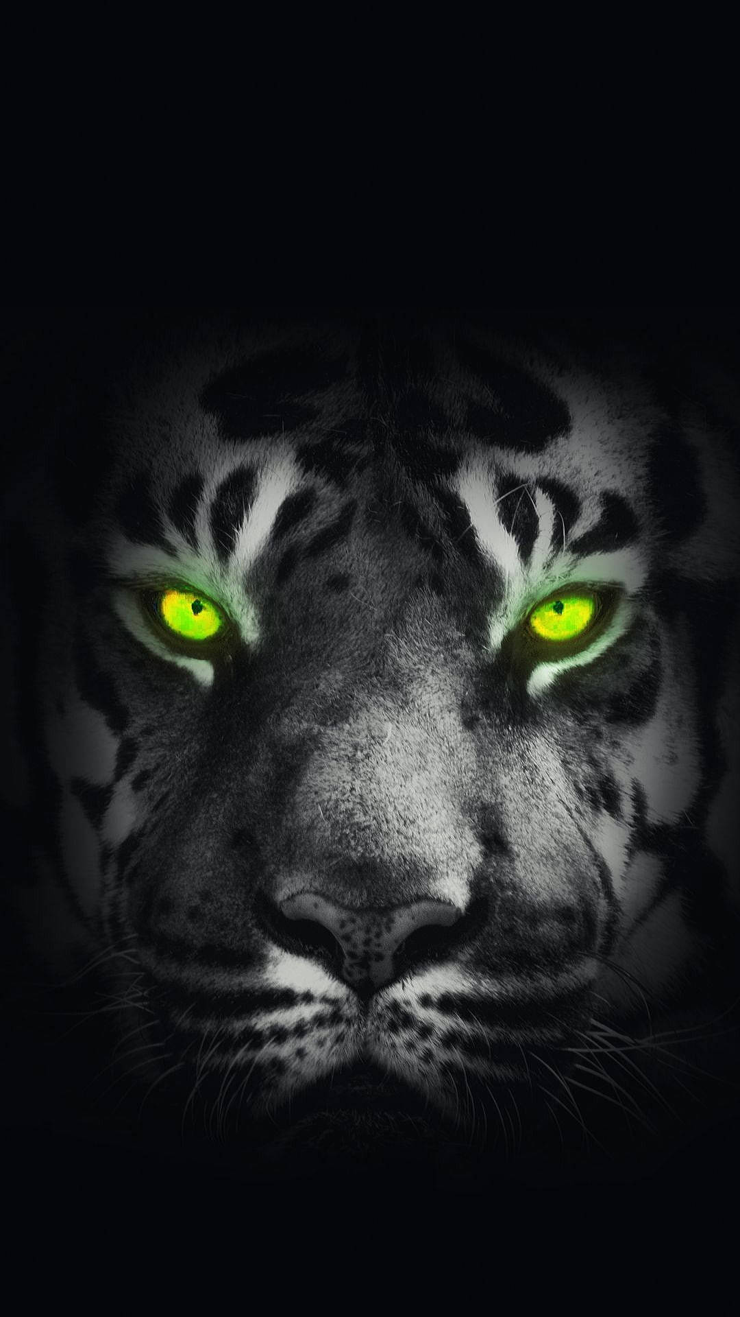 black tiger, glowing green eyes, tiger's intense face, Full HD Phone Wallpaper