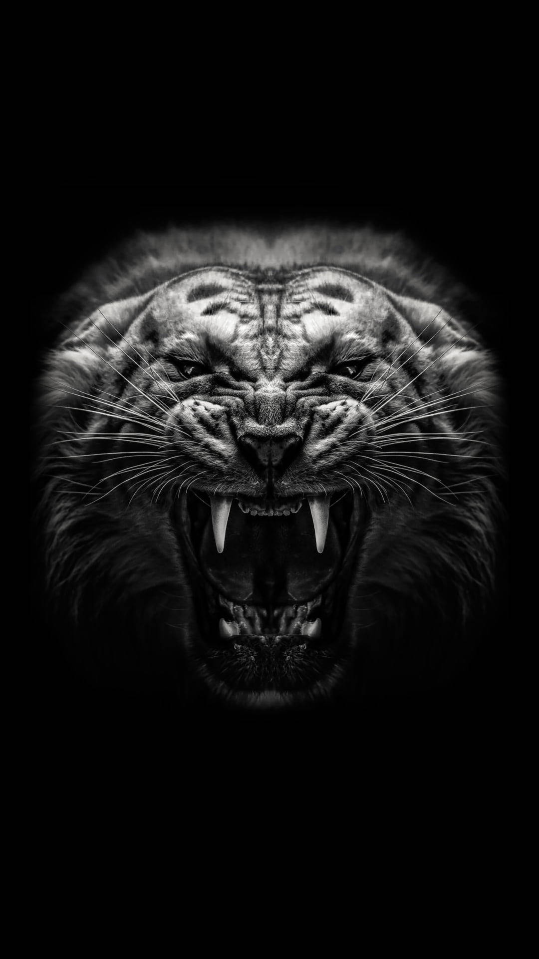 black tiger, roaring tiger, stark black and white, Full HD Phone Wallpaper