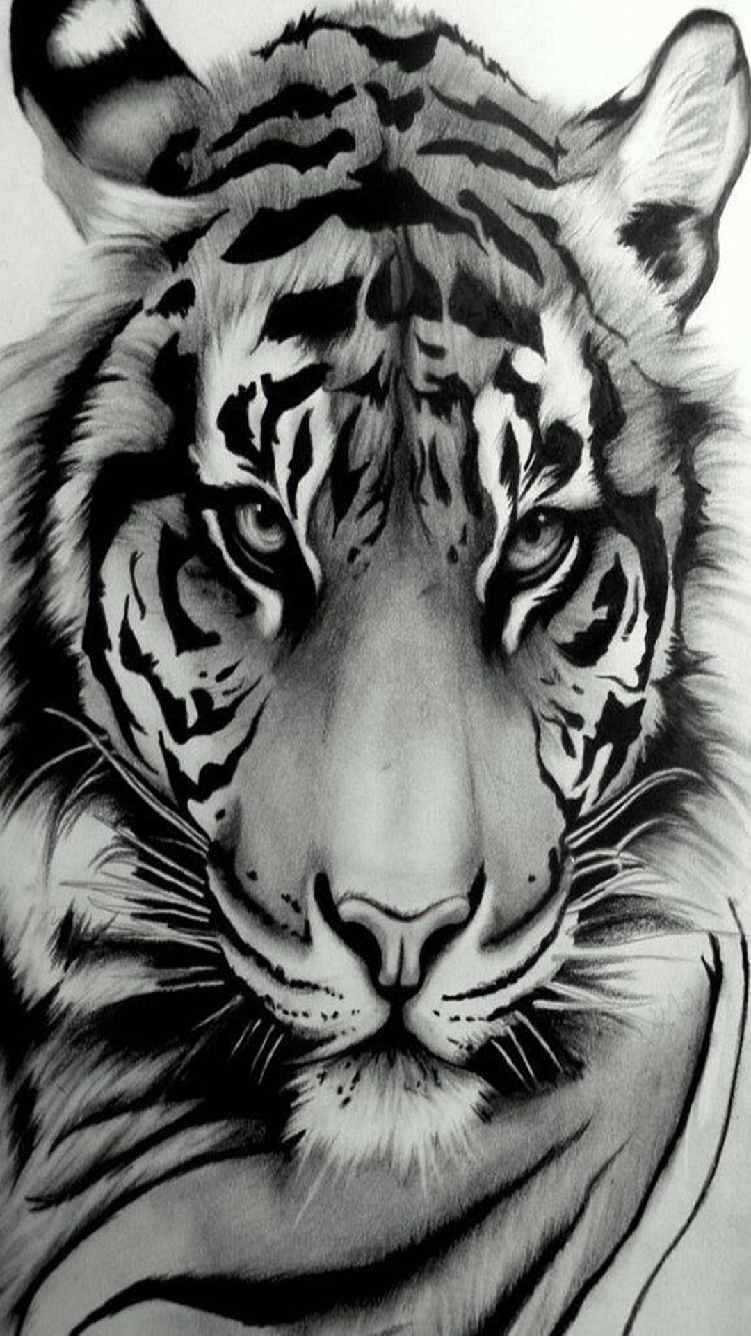black tiger, pencil drawing, tiger's intense face, Full HD Phone Wallpaper