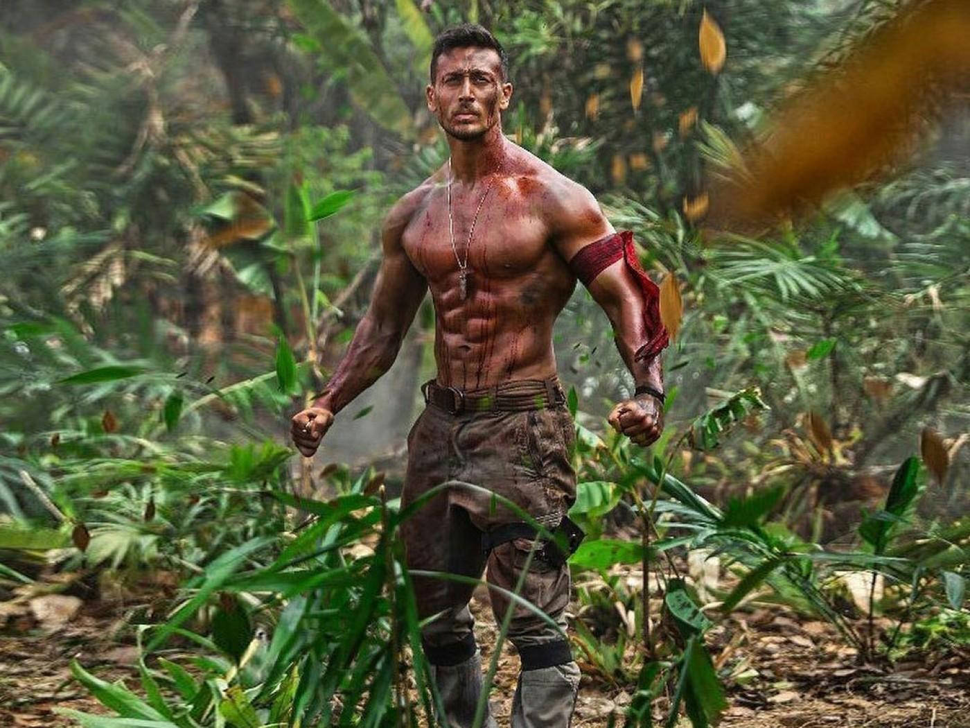 Tiger Shroff Body, forest, jungle, HD Desktop Wallpaper