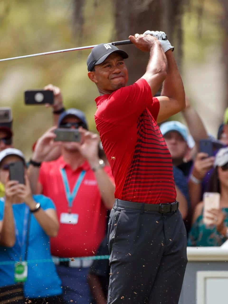 Tiger Woods, iPhone, red striped shirt, SD Phone Wallpaper