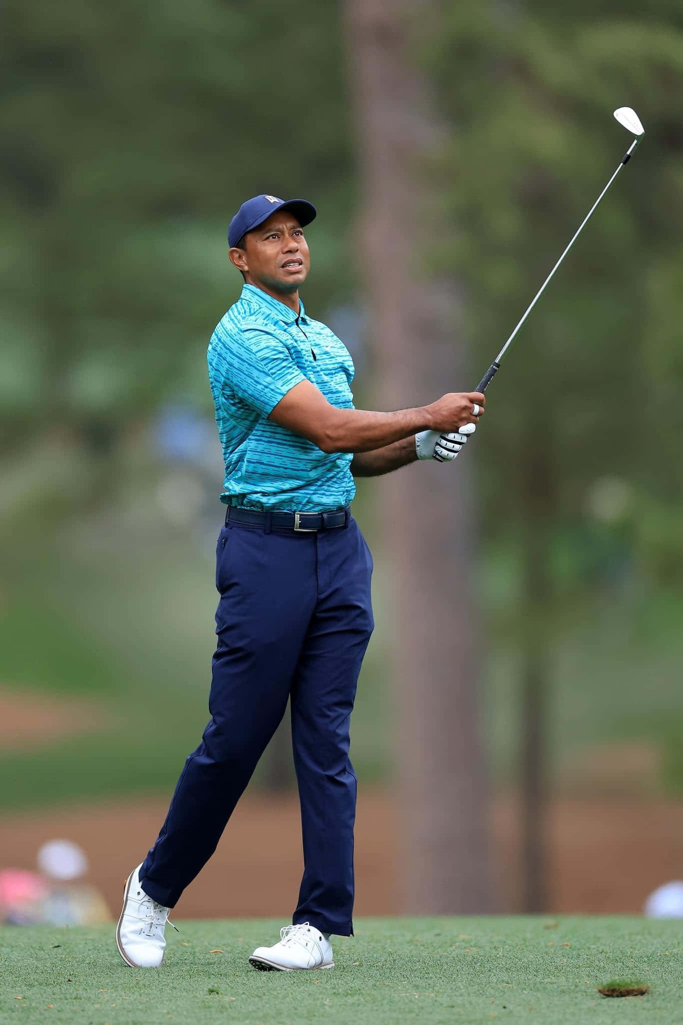 Tiger Woods, iPhone, lush green golf course, Full HD Phone Wallpaper