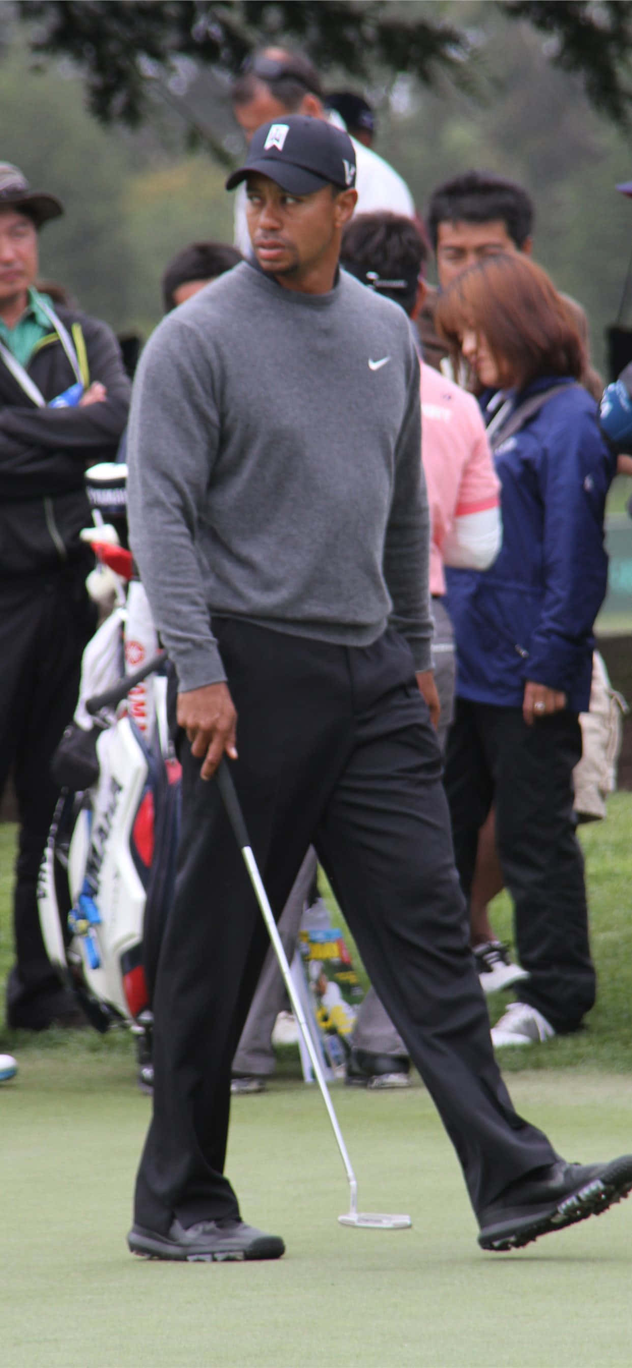 Tiger Woods, iPhone, golf green, 2K Phone Wallpaper