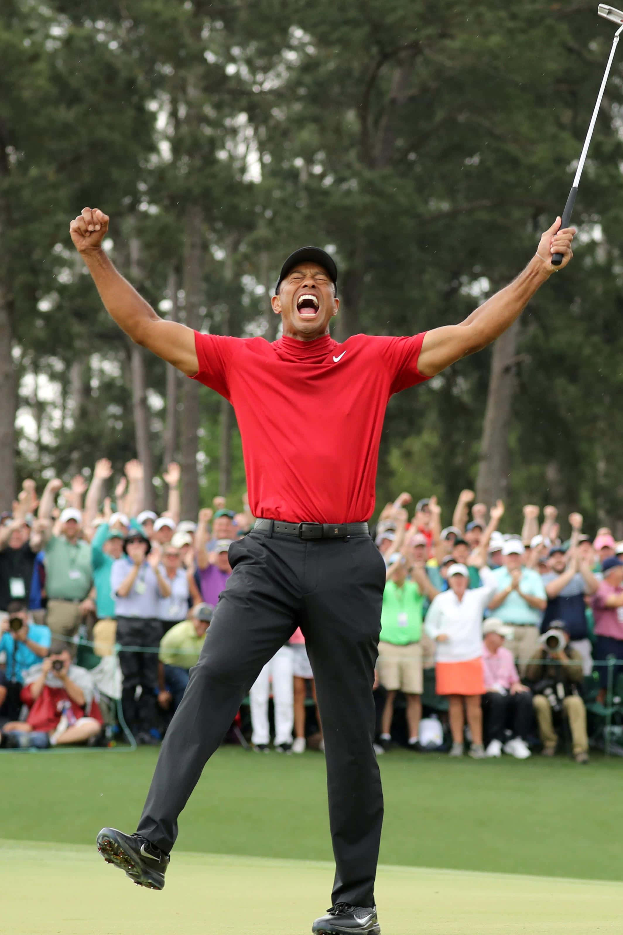 Tiger Woods, iPhone, golf green, 2K Phone Wallpaper