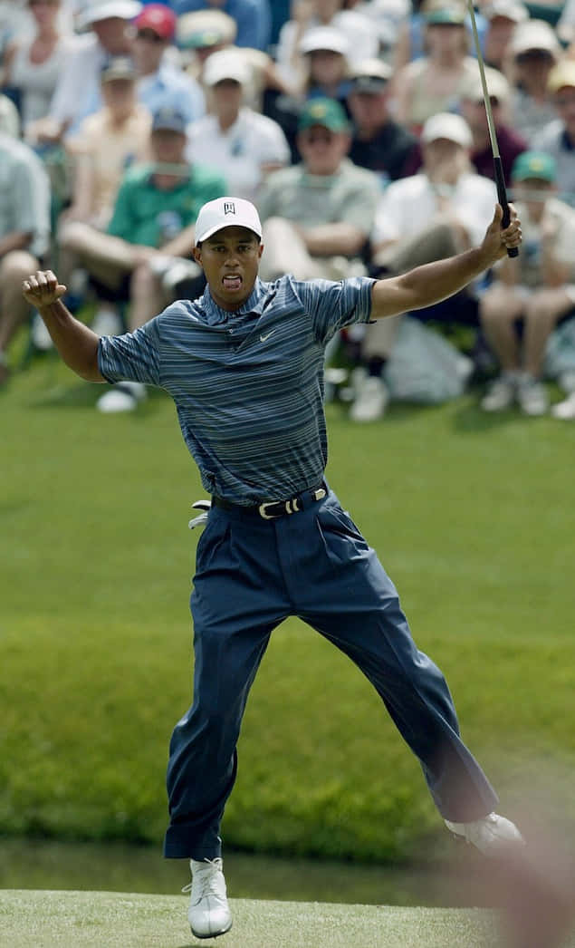 Tiger Woods, iPhone, sunlit green course, SD Phone Wallpaper