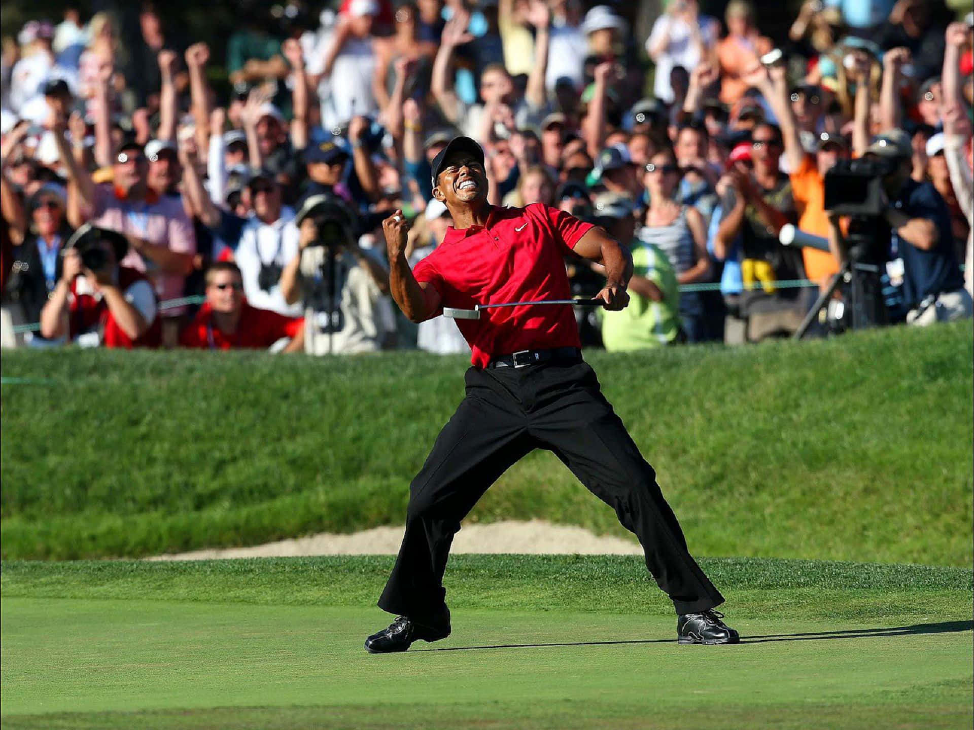 Tiger Woods, iPhone, sunlit golf green, Full HD Desktop Wallpaper