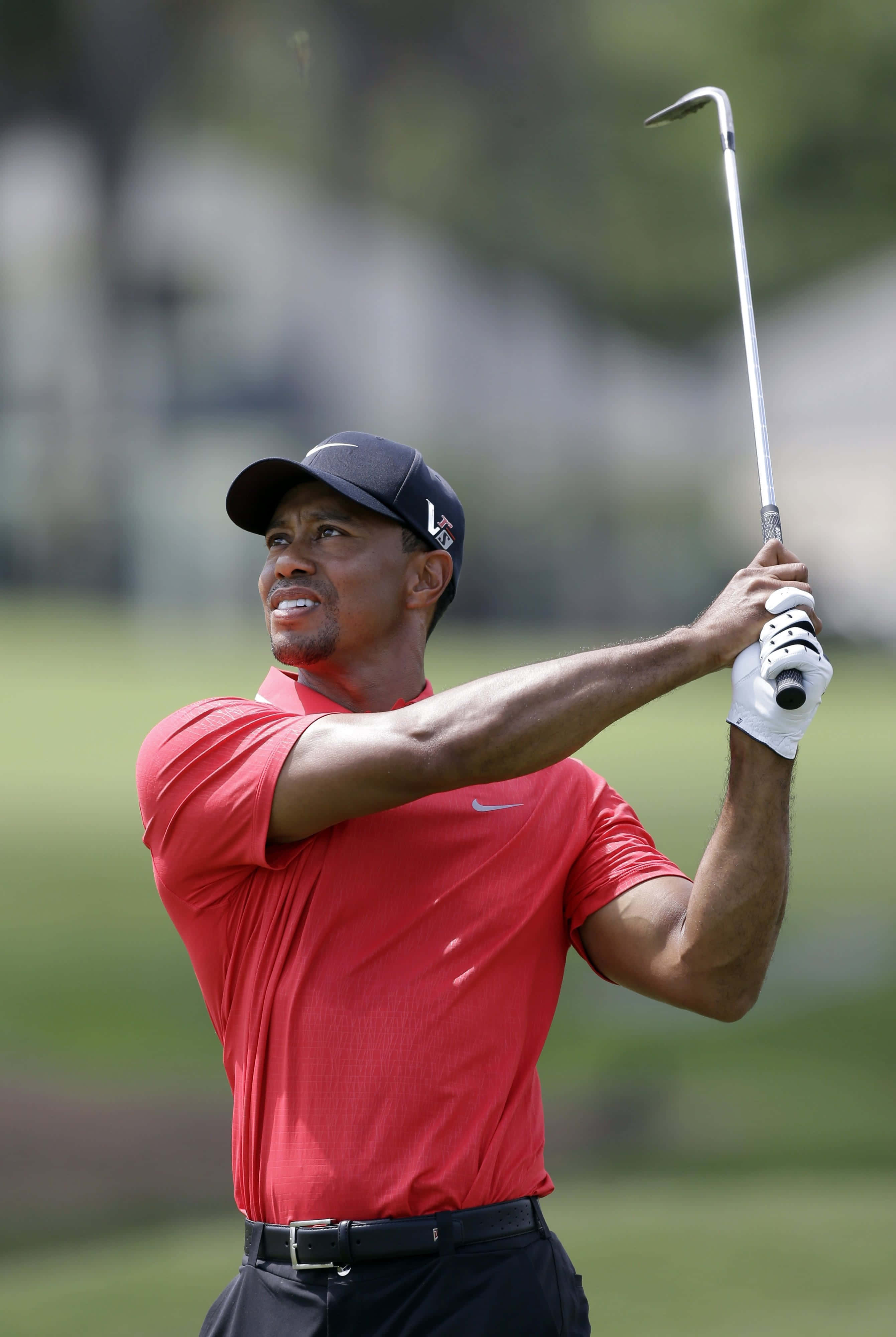 Tiger Woods, iPhone, golf course, 4K Phone Wallpaper