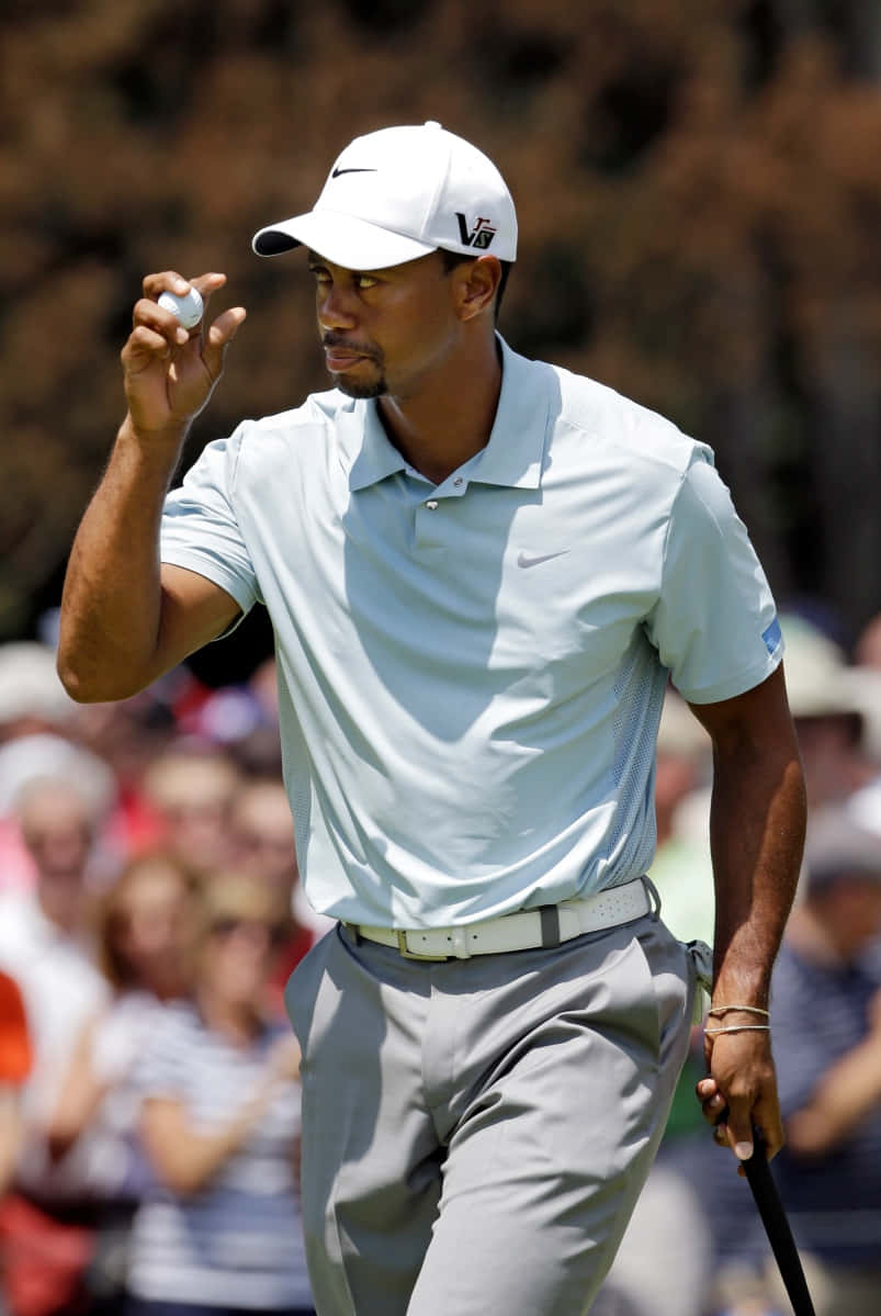 Tiger Woods, golf ball, sunlit course, SD Phone Wallpaper
