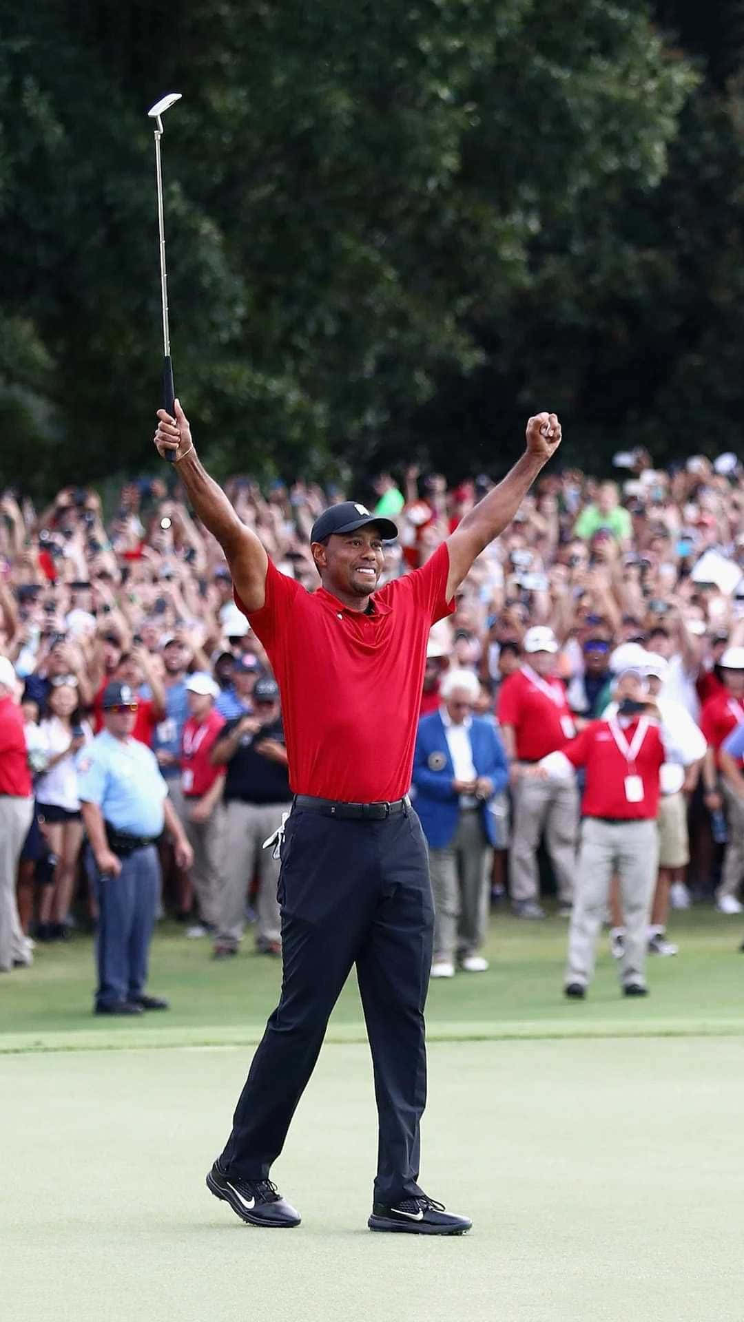 Tiger Woods, iPhone, golf green, Full HD Phone Wallpaper