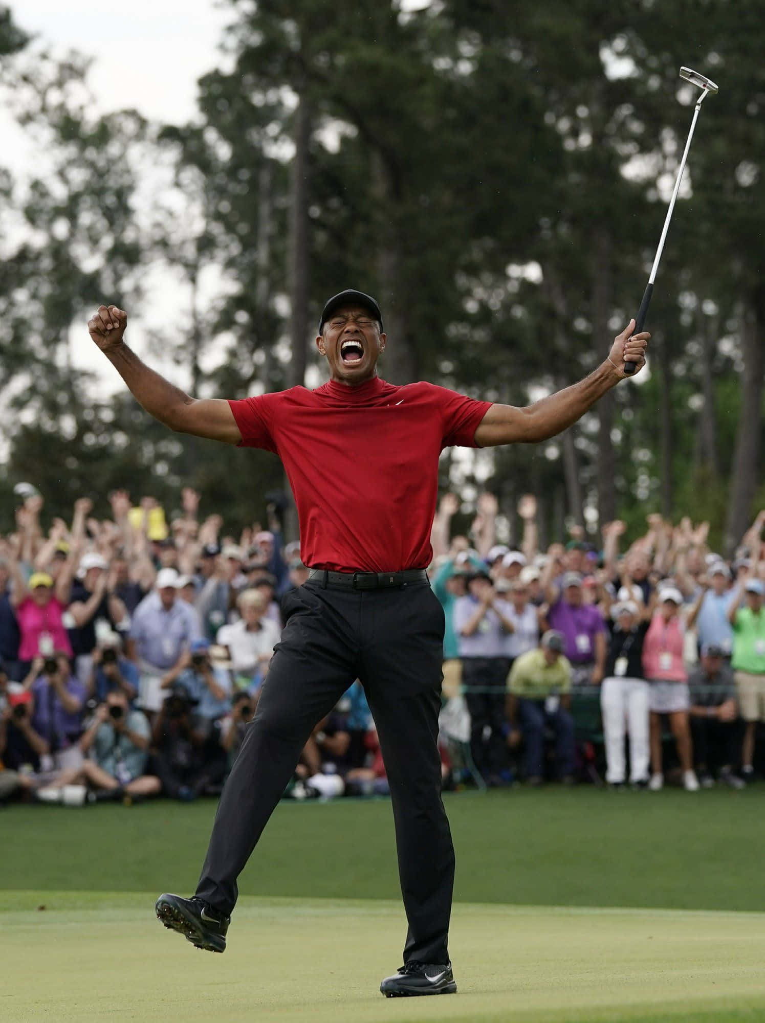 Tiger Woods, iPhone, golf green, Full HD Phone Wallpaper