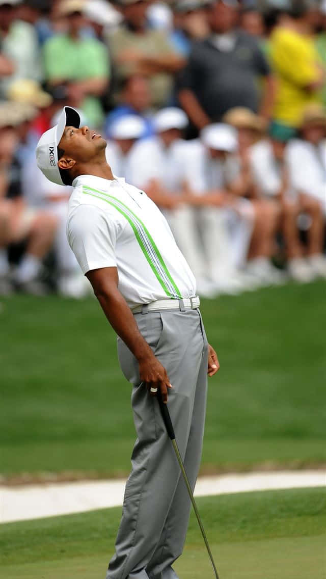 Tiger Woods, iPhone, sunlit golf green, SD Phone Wallpaper