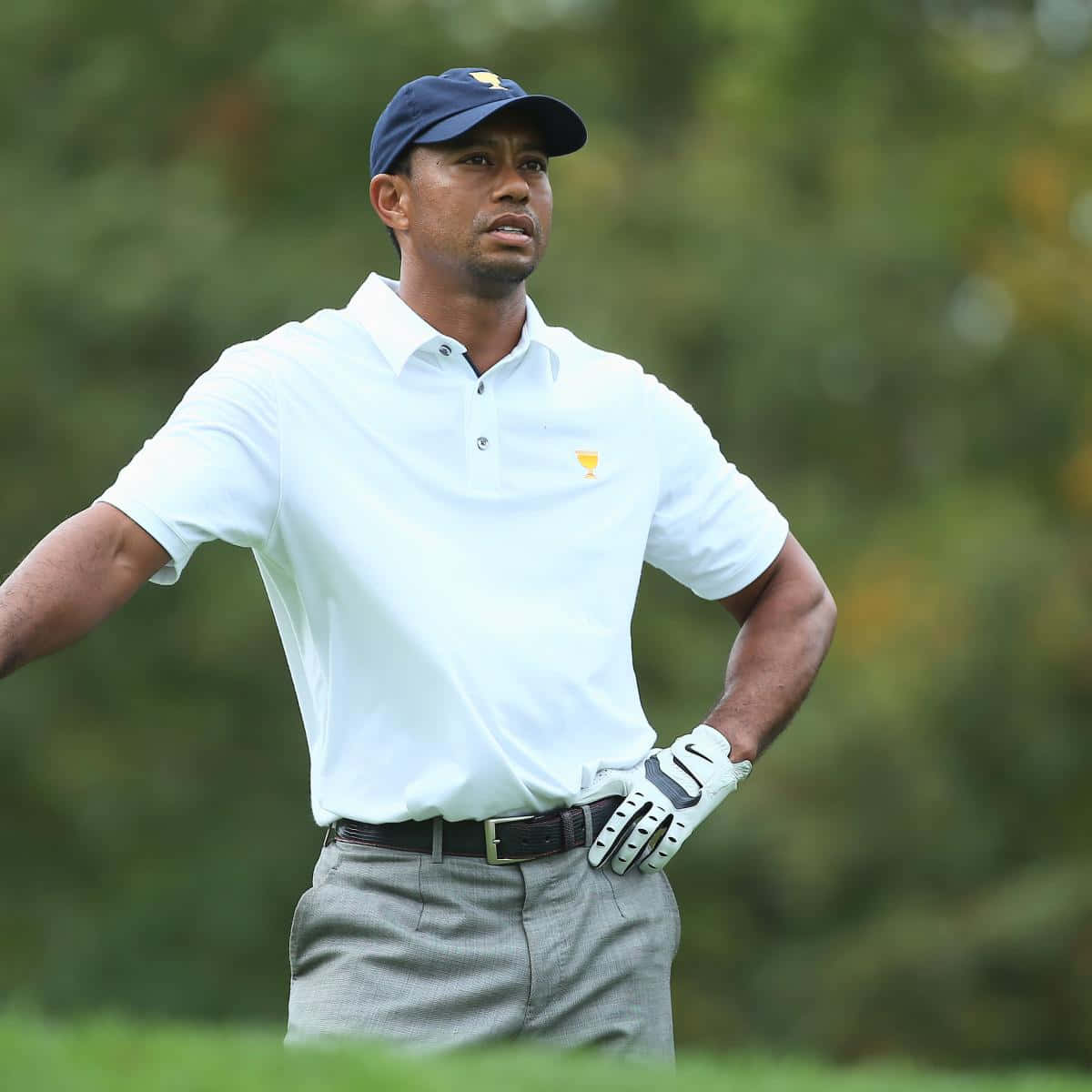 Tiger Woods, iPhone, golf course, SD Desktop Wallpaper