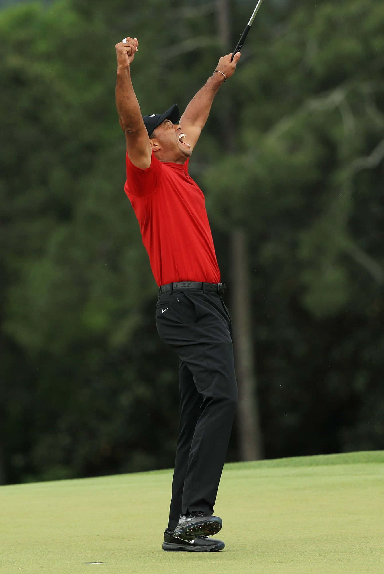 Tiger Woods, iPhone, lush green golf course, Full HD Phone Wallpaper