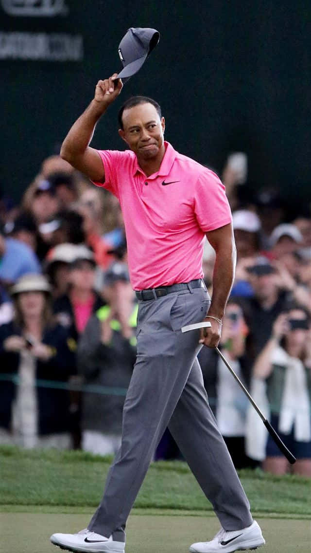 Tiger Woods, iPhone, bright pink polo, SD Phone Wallpaper