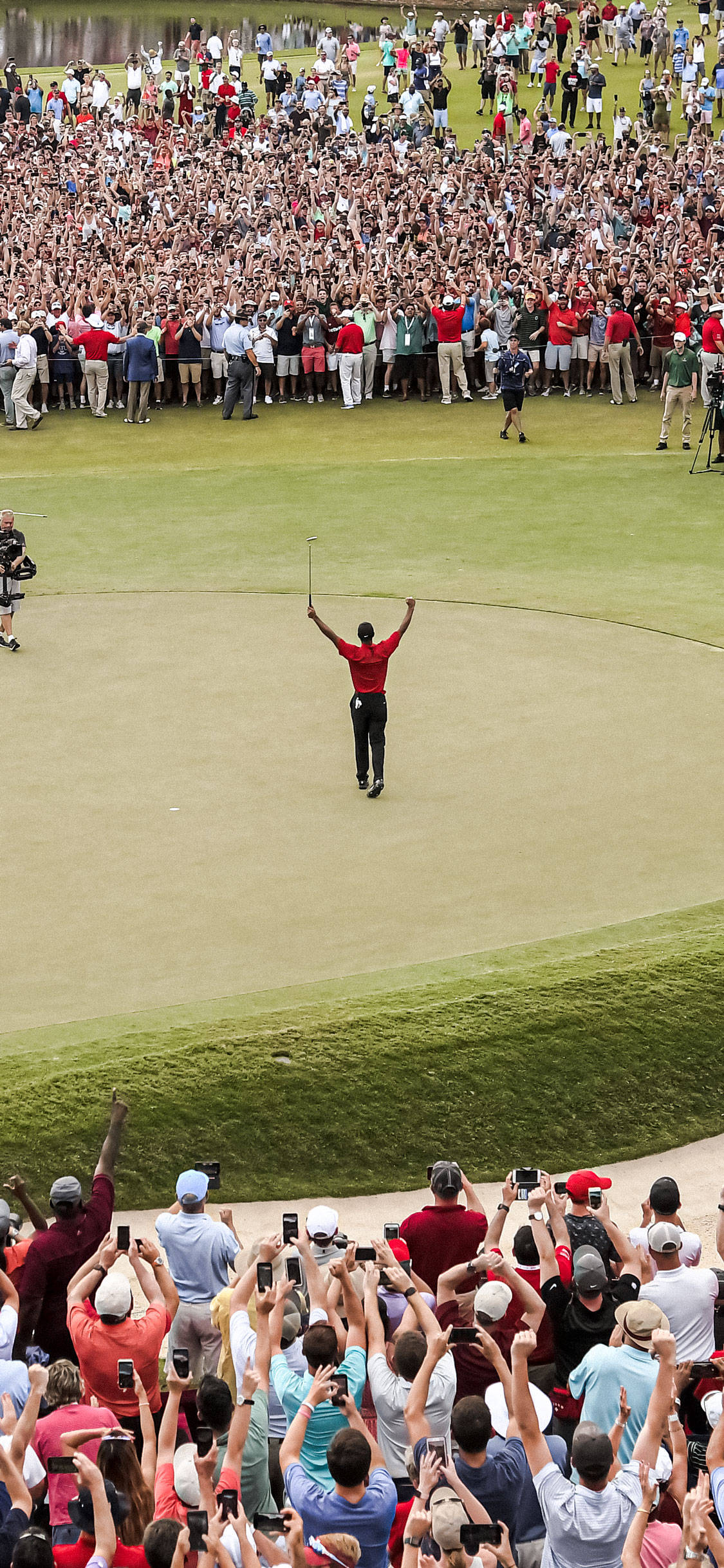 Tiger Woods, red shirt, green golf course, Full HD Phone Wallpaper