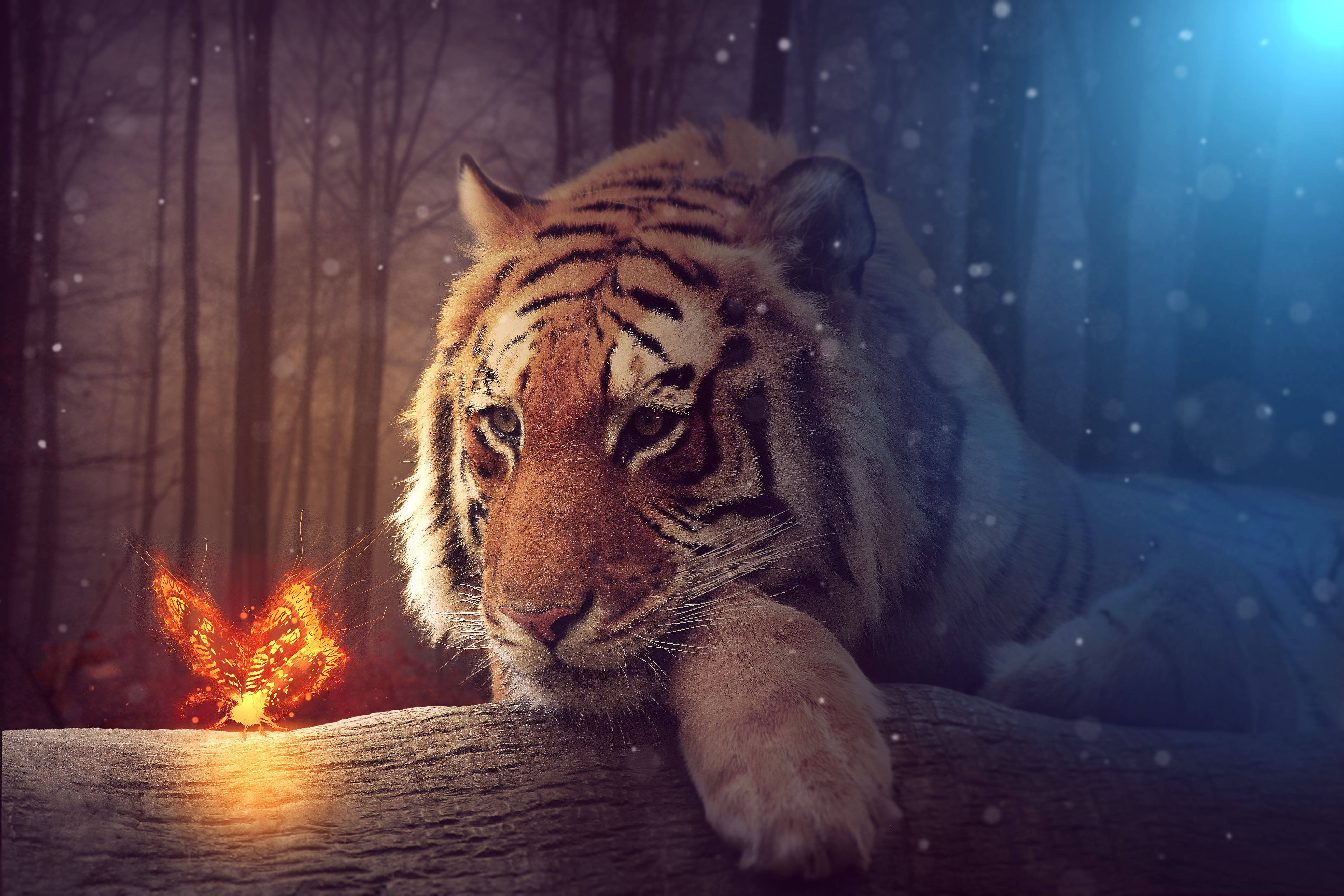 Tiger Woods, dark snowy forest, glowing orange butterfly, 5K Desktop Wallpaper