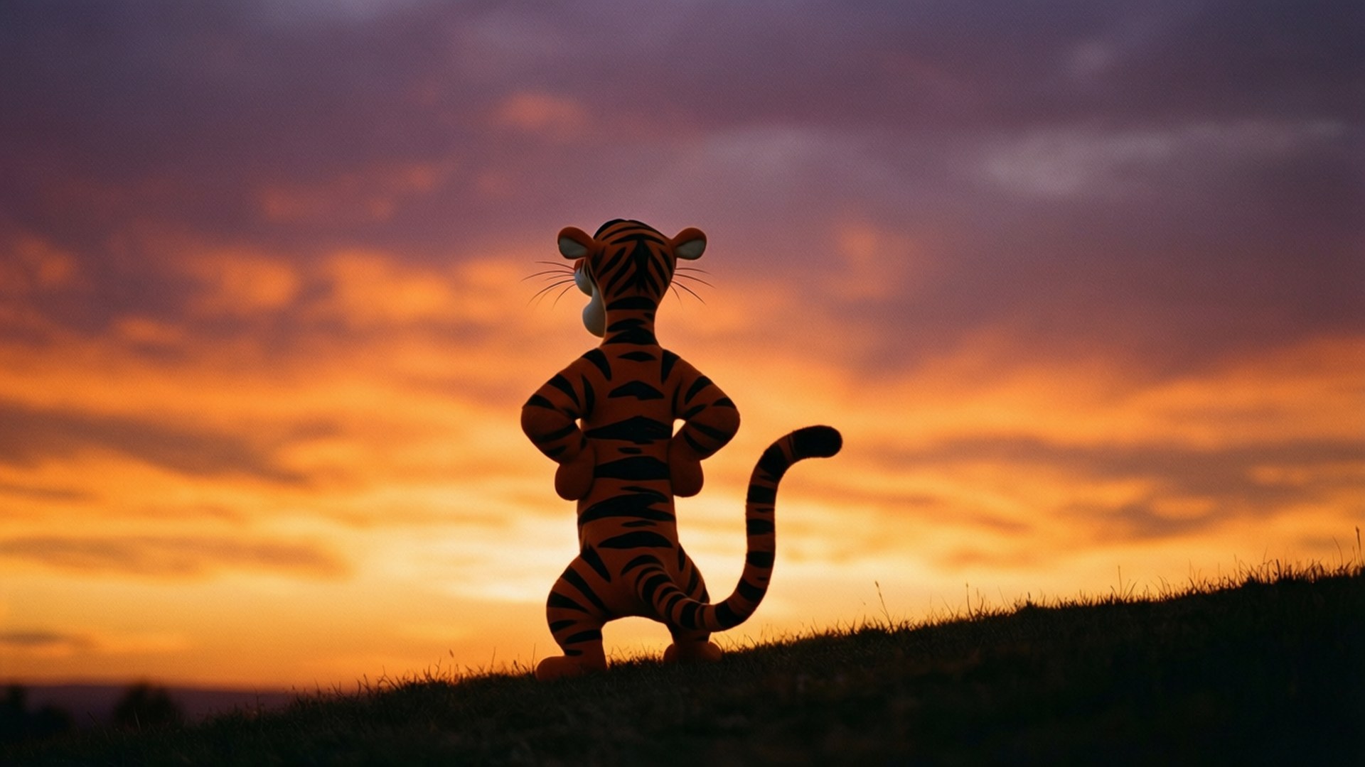 Tigger, sunset, orange and purple sunset sky, Full HD Desktop Wallpaper