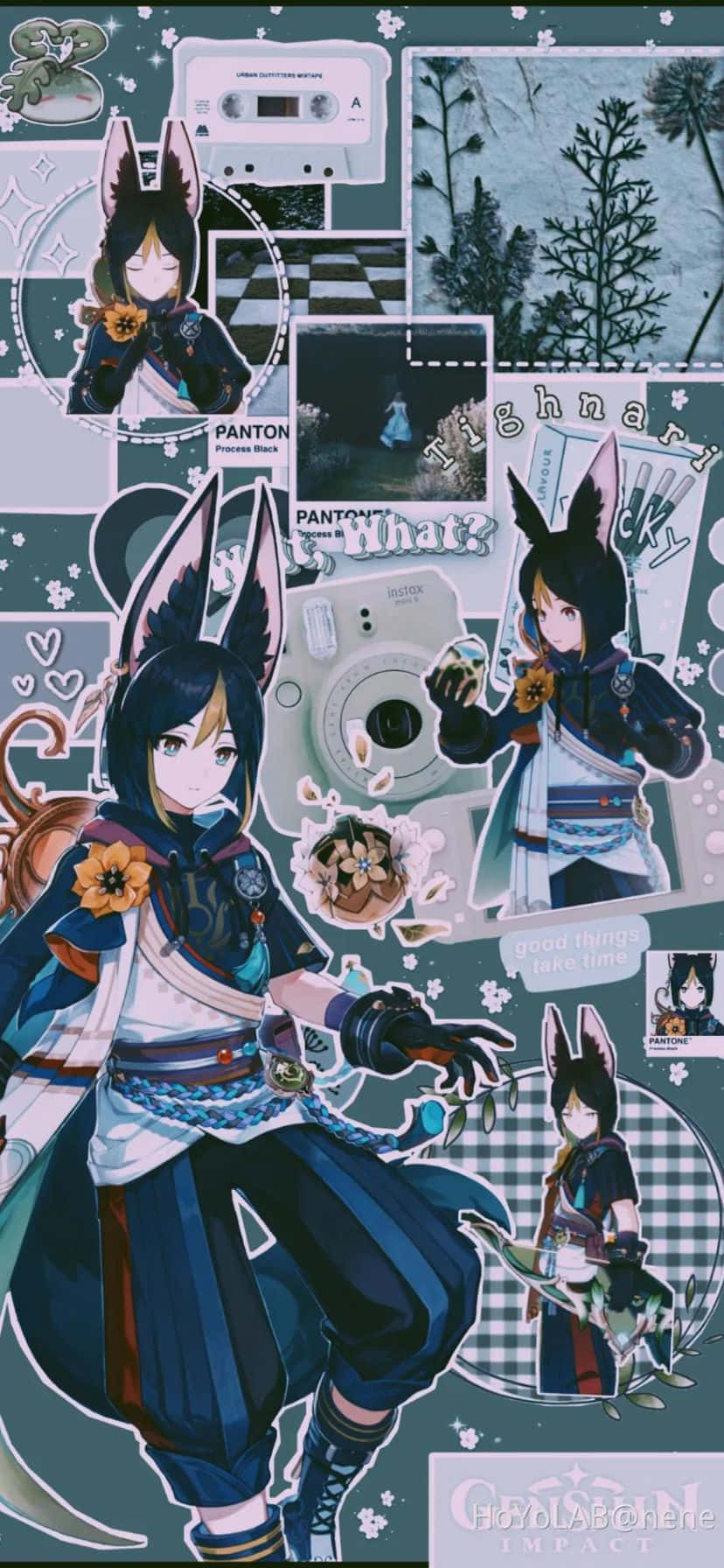 Tighnari, anime girl with bunny ears, blue outfit, HD Phone Wallpaper