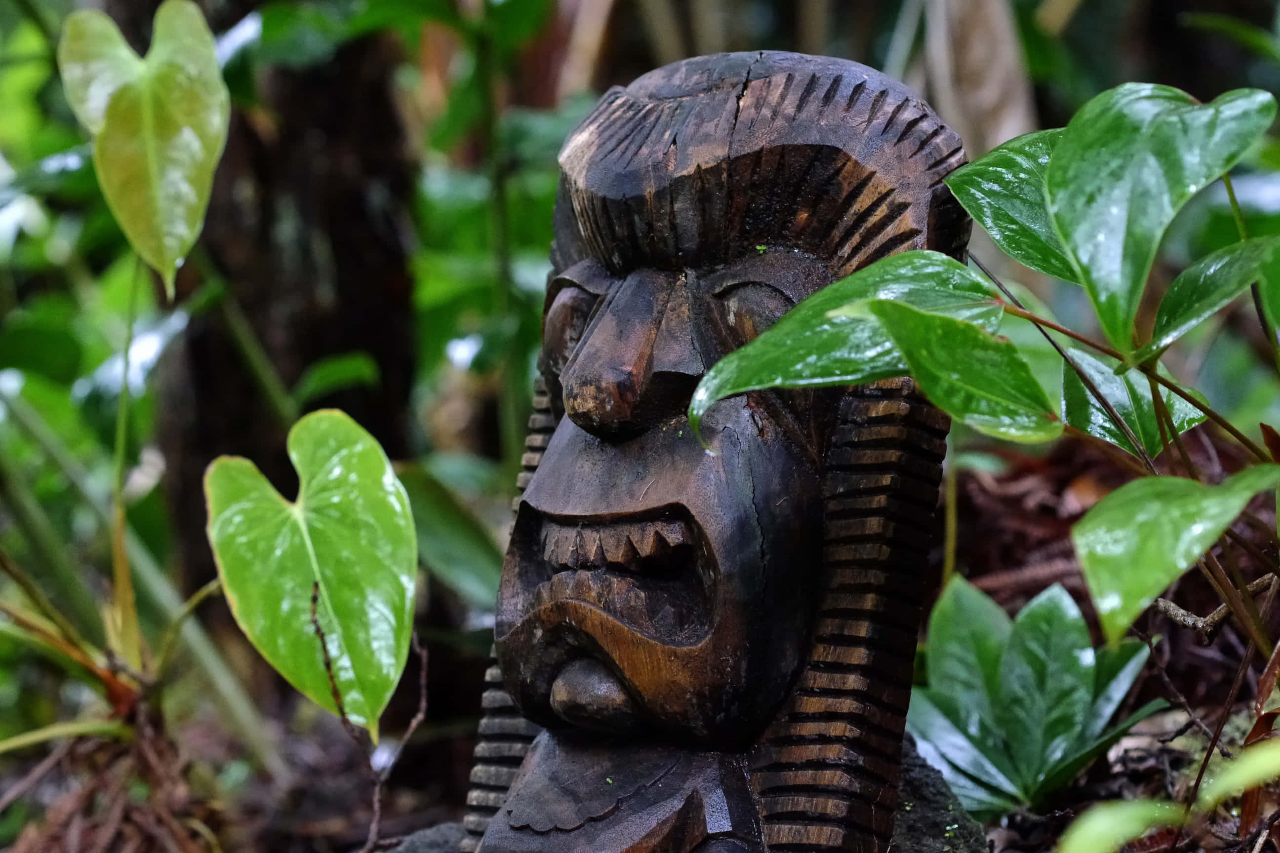 wooden tiki statue, jungle, weathered wooden tribal mask, 2K Desktop Wallpaper