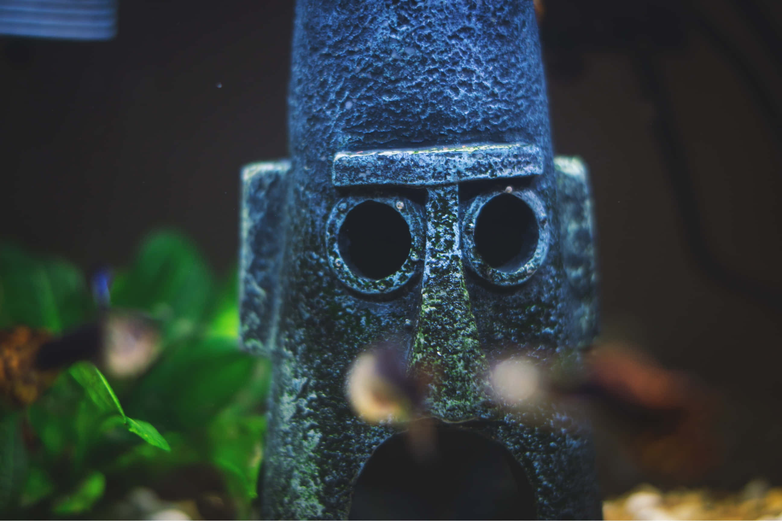 aquarium tiki decoration, blue-green stone-like, face with round eye holes, 2K Desktop Wallpaper