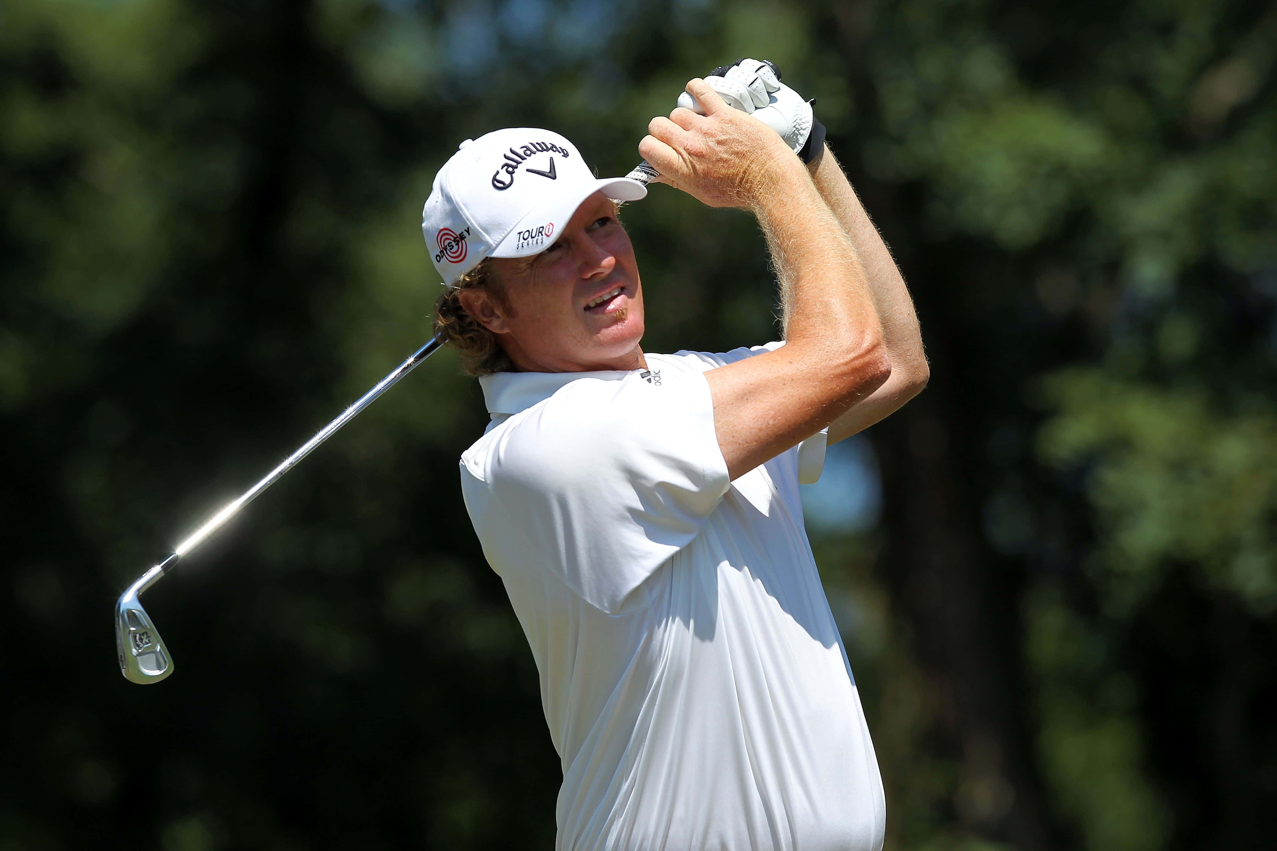 Tim Petrovic, golfer, white shirt, 4K Desktop Wallpaper