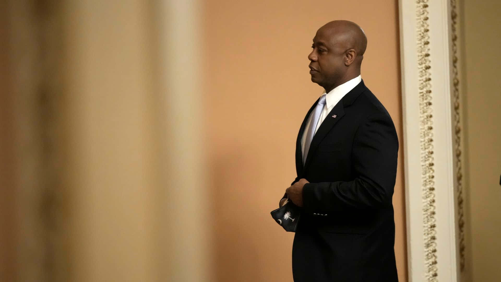 Tim Scott, dark suit, warmly lit ornate hallway wall, Full HD Desktop Wallpaper