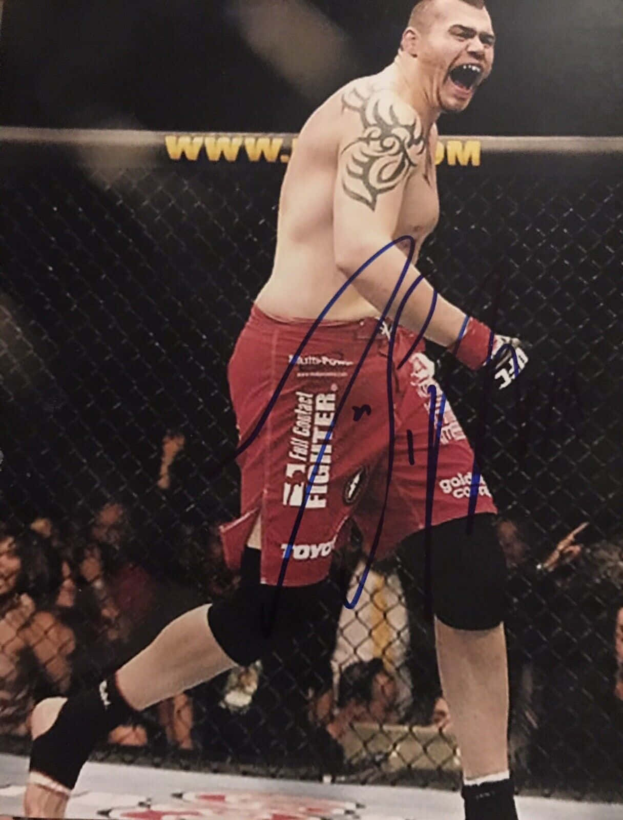 Tim Sylvia, heavyweight champion, tribal tattoo, HD Phone Wallpaper