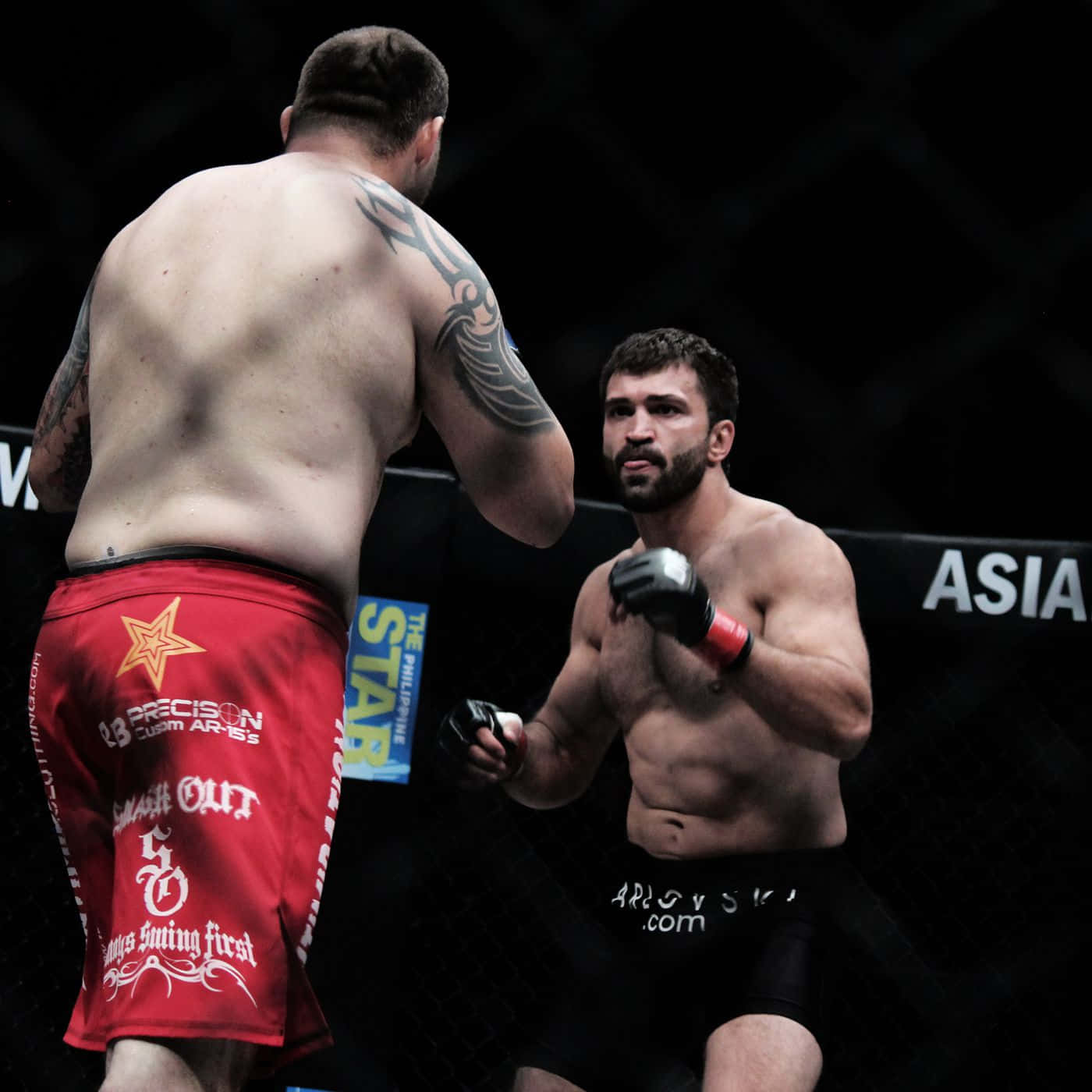 Tim Sylvia, MMA Professional Fighter, octagon, HD Desktop Wallpaper