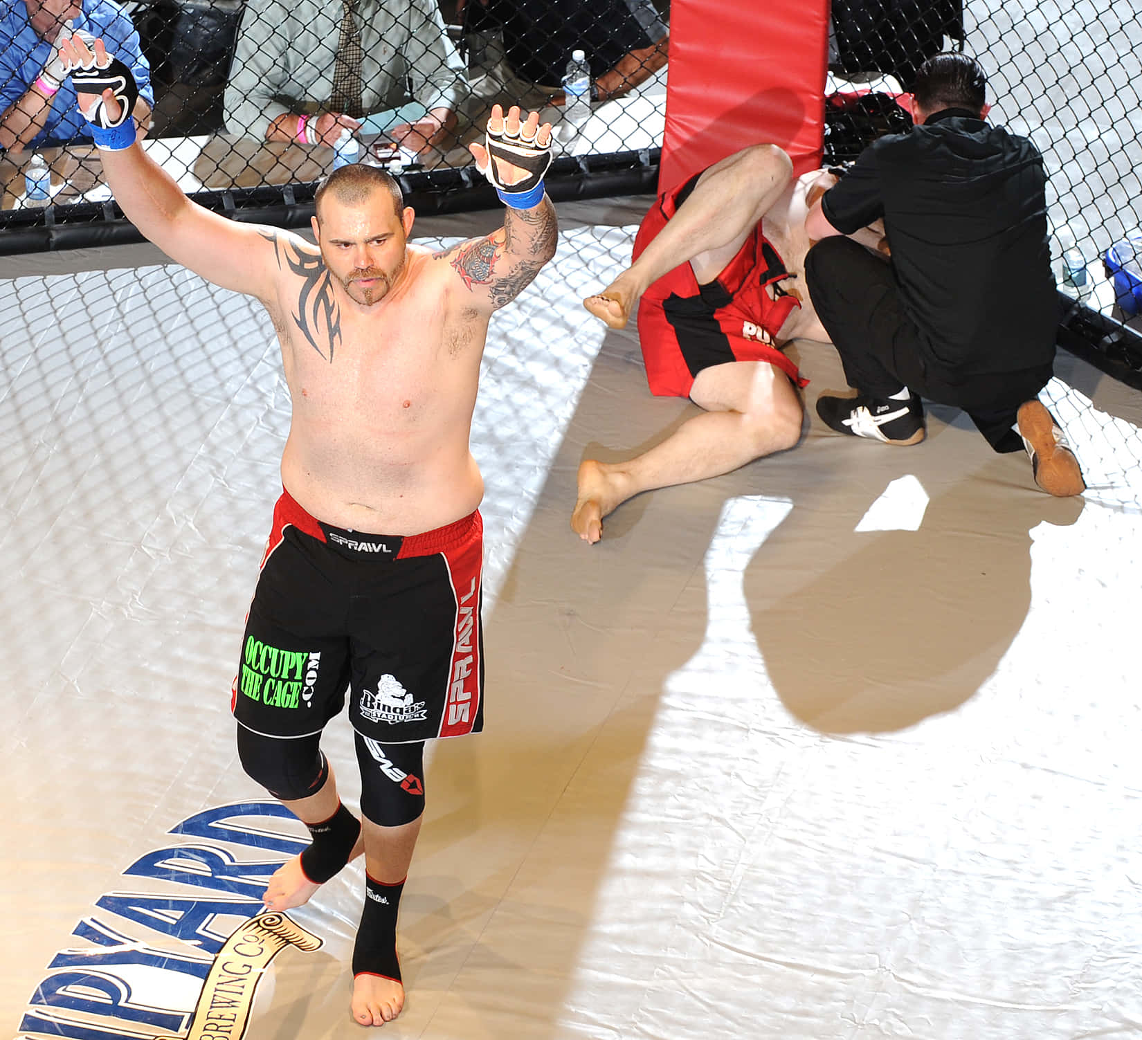 Tim Sylvia, mixed martial artist, octagon cage, HD Desktop Wallpaper