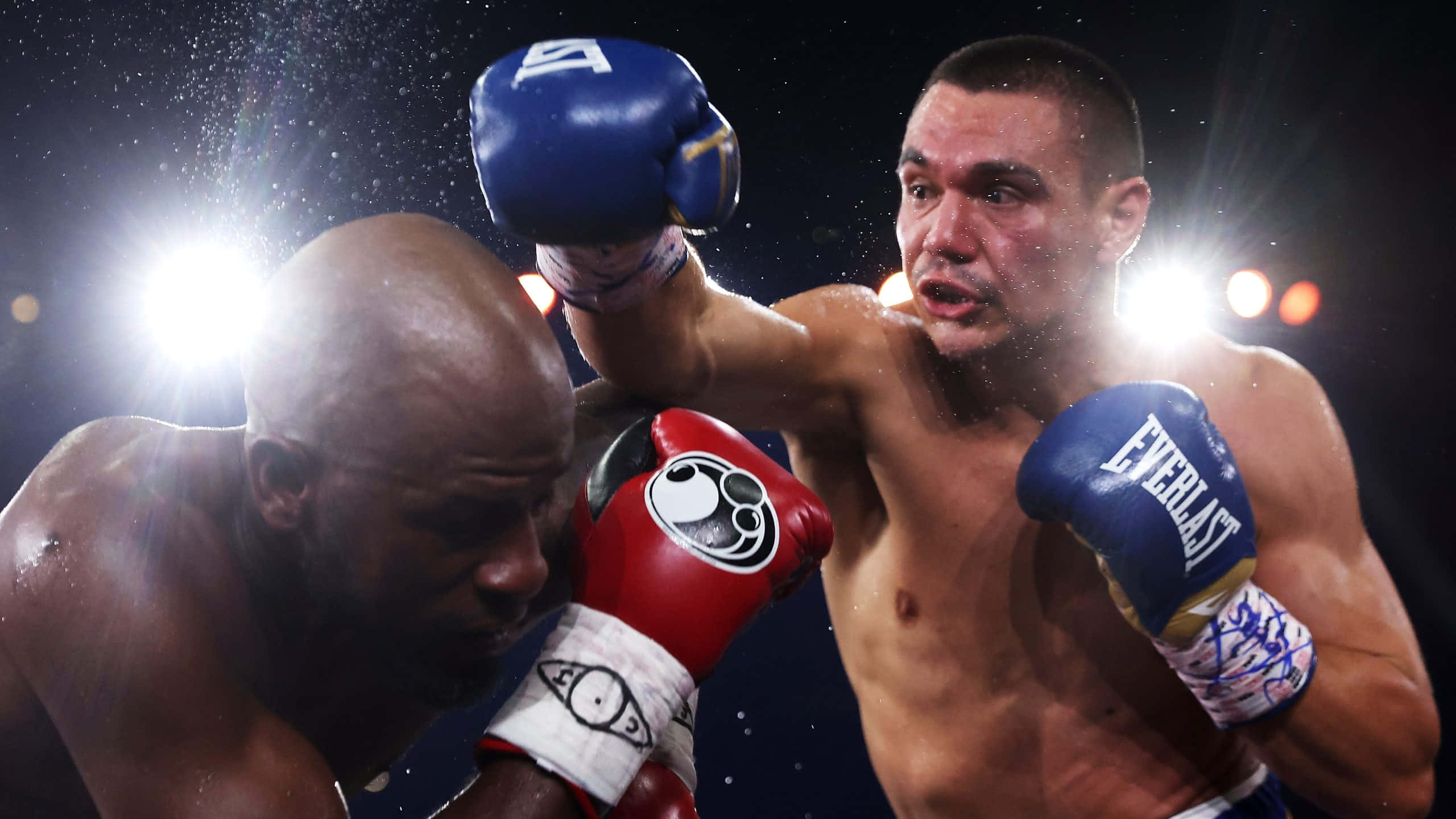Tim Tszyu, blue gloves, gym, 2K Desktop Wallpaper