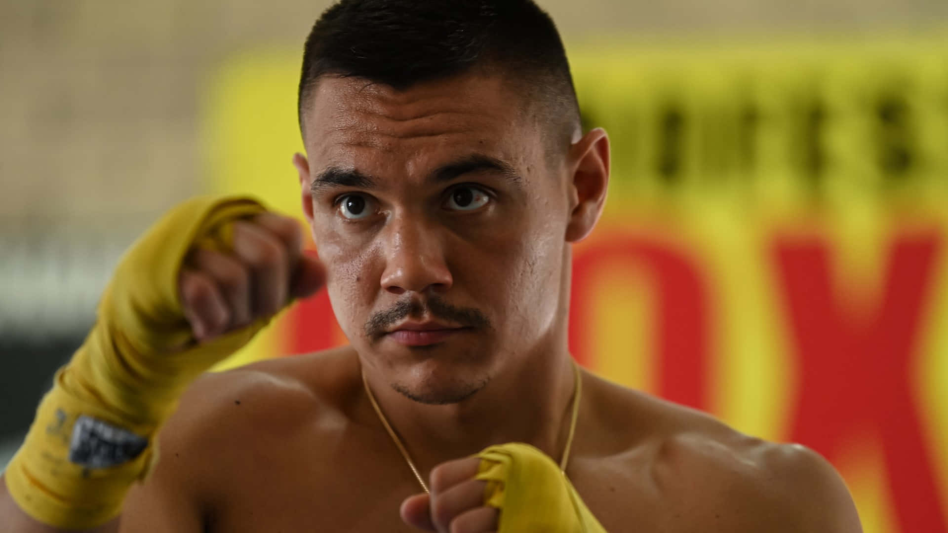 Tim Tszyu, yellow hand wraps, fighting stance, Full HD Desktop Wallpaper