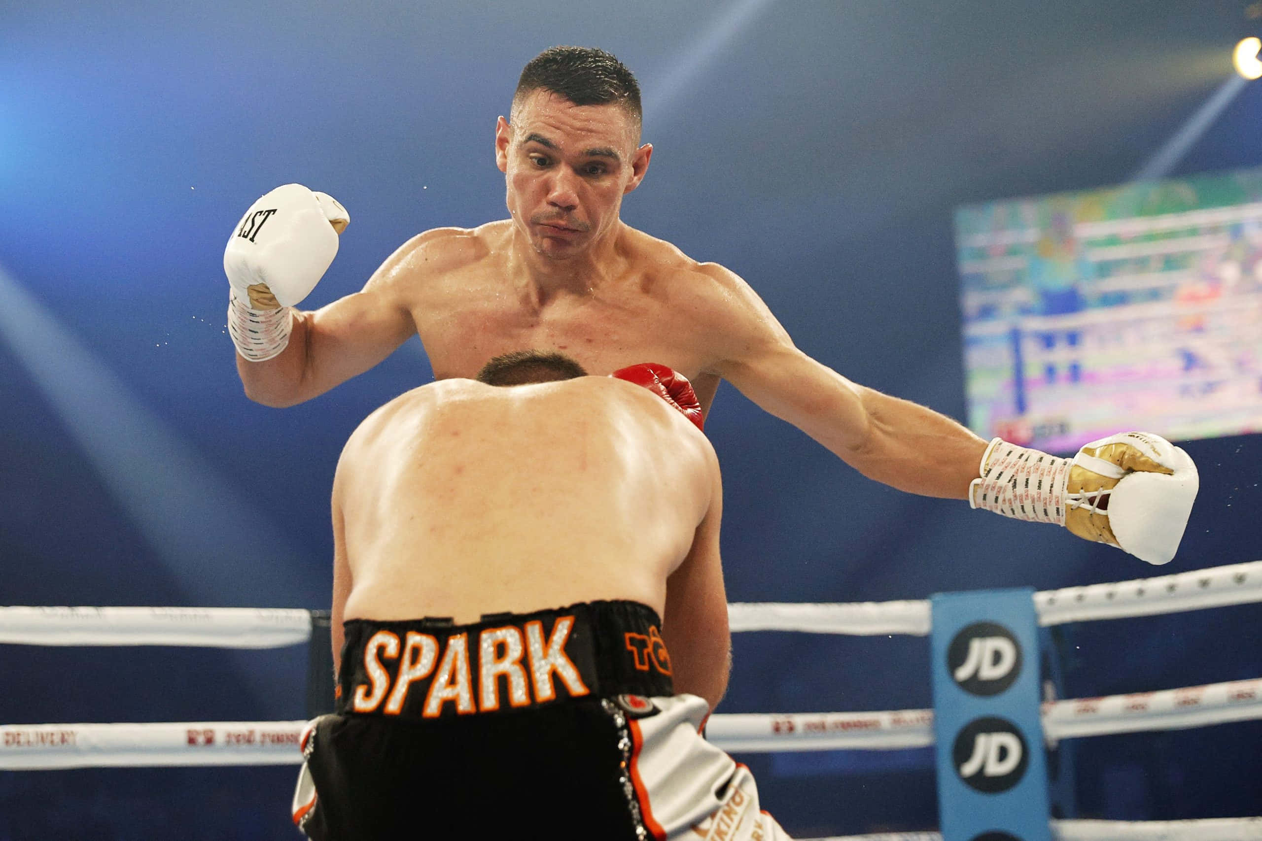 Tim Tszyu, white gloves, brightly lit ring, 2K Desktop Wallpaper