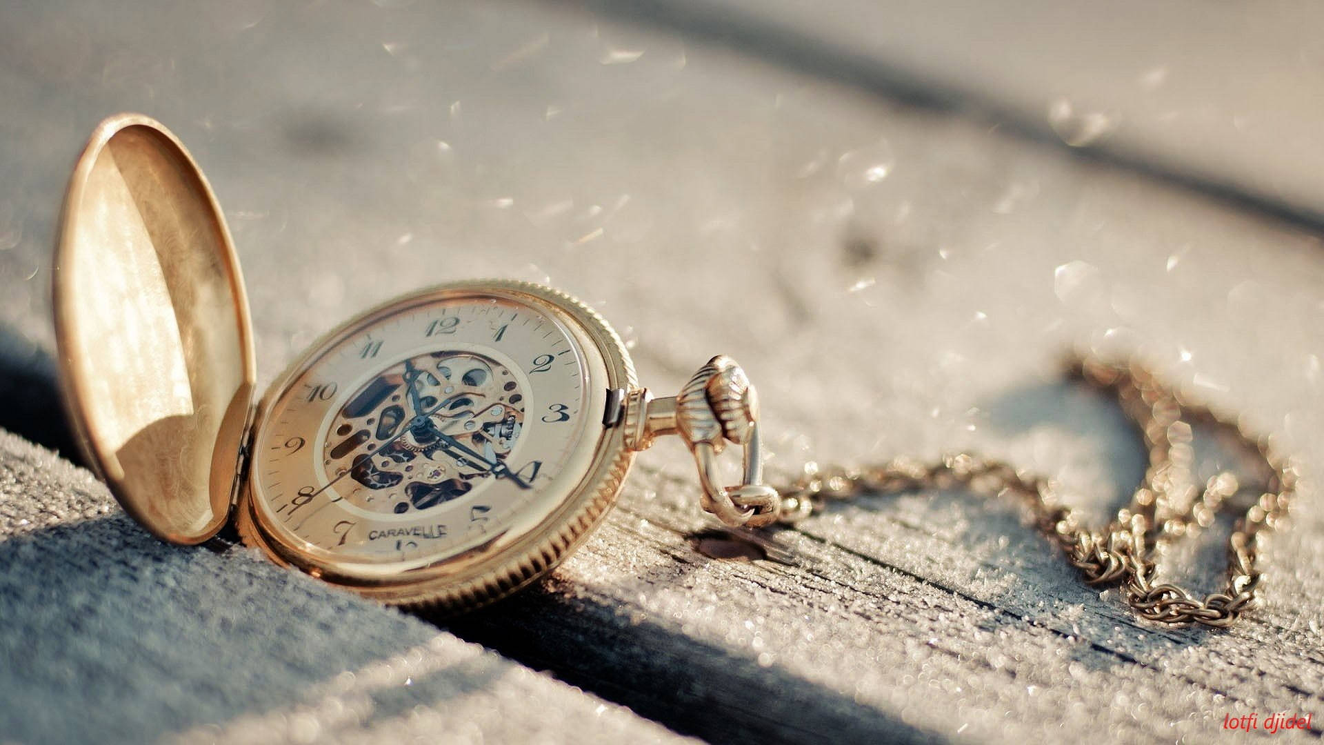 pocket watch, gold, exposed gears, Full HD Desktop Wallpaper