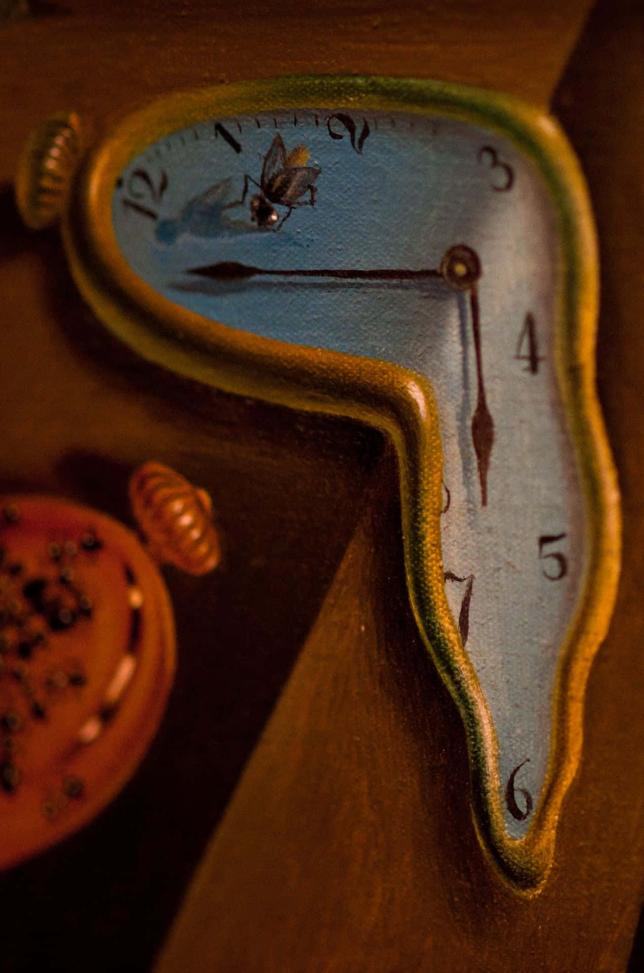 melting pocket watch, wooden surface, fly, Full HD Phone Wallpaper