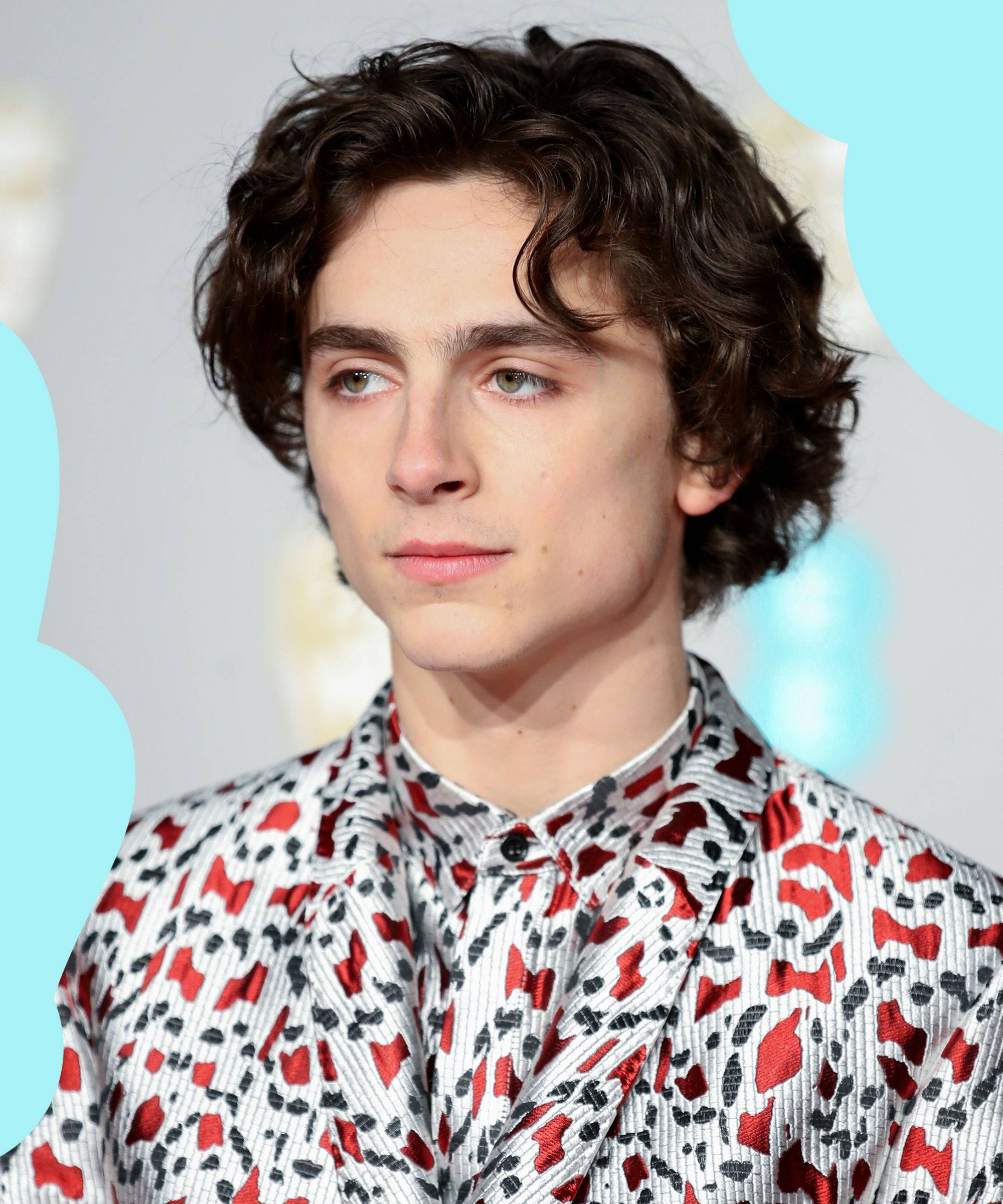 Timothée Chalamet, red popping suit, black and white patterned shirt, Full HD Phone Wallpaper