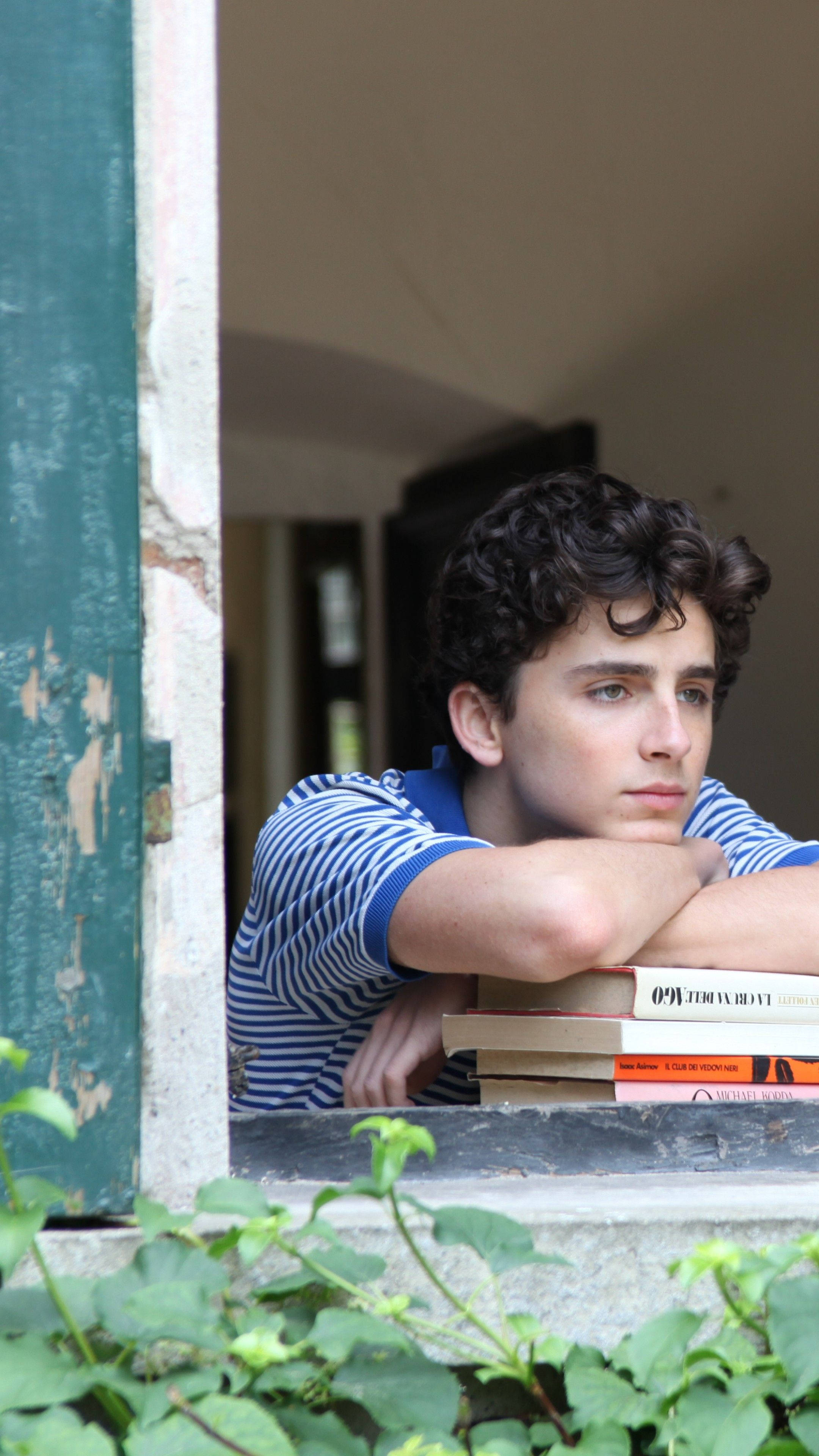 Timothée Chalamet, curly hair, stacked books, 4K Phone Wallpaper