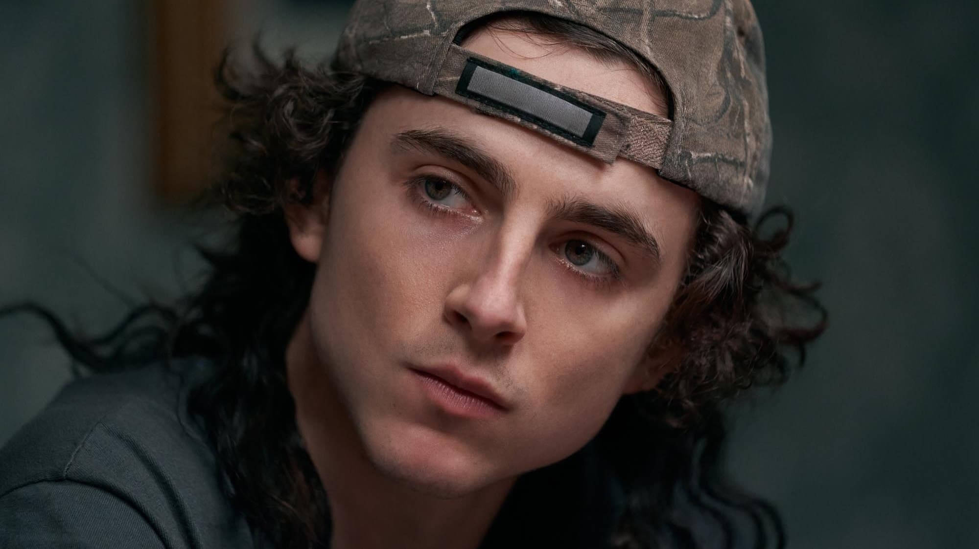 Timothée Chalamet, camouflage cap, curly dark hair, Full HD Desktop Wallpaper
