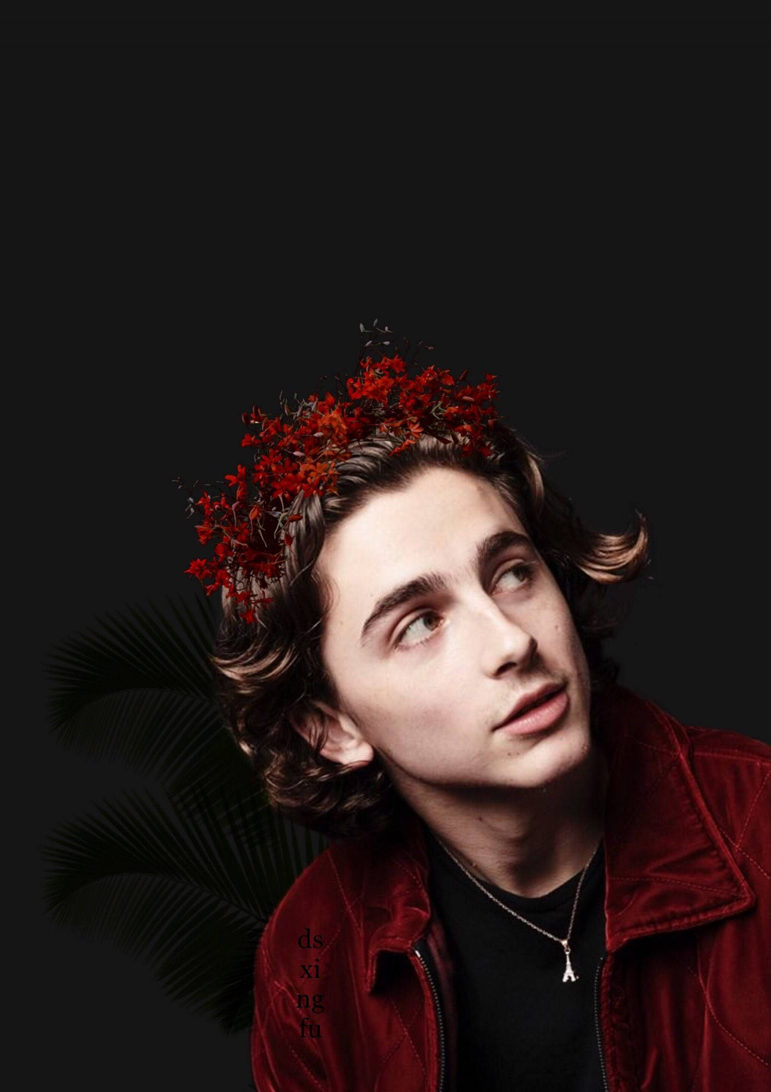 Timothée Chalamet, red floral crown, red velvet jacket, Full HD Phone Wallpaper