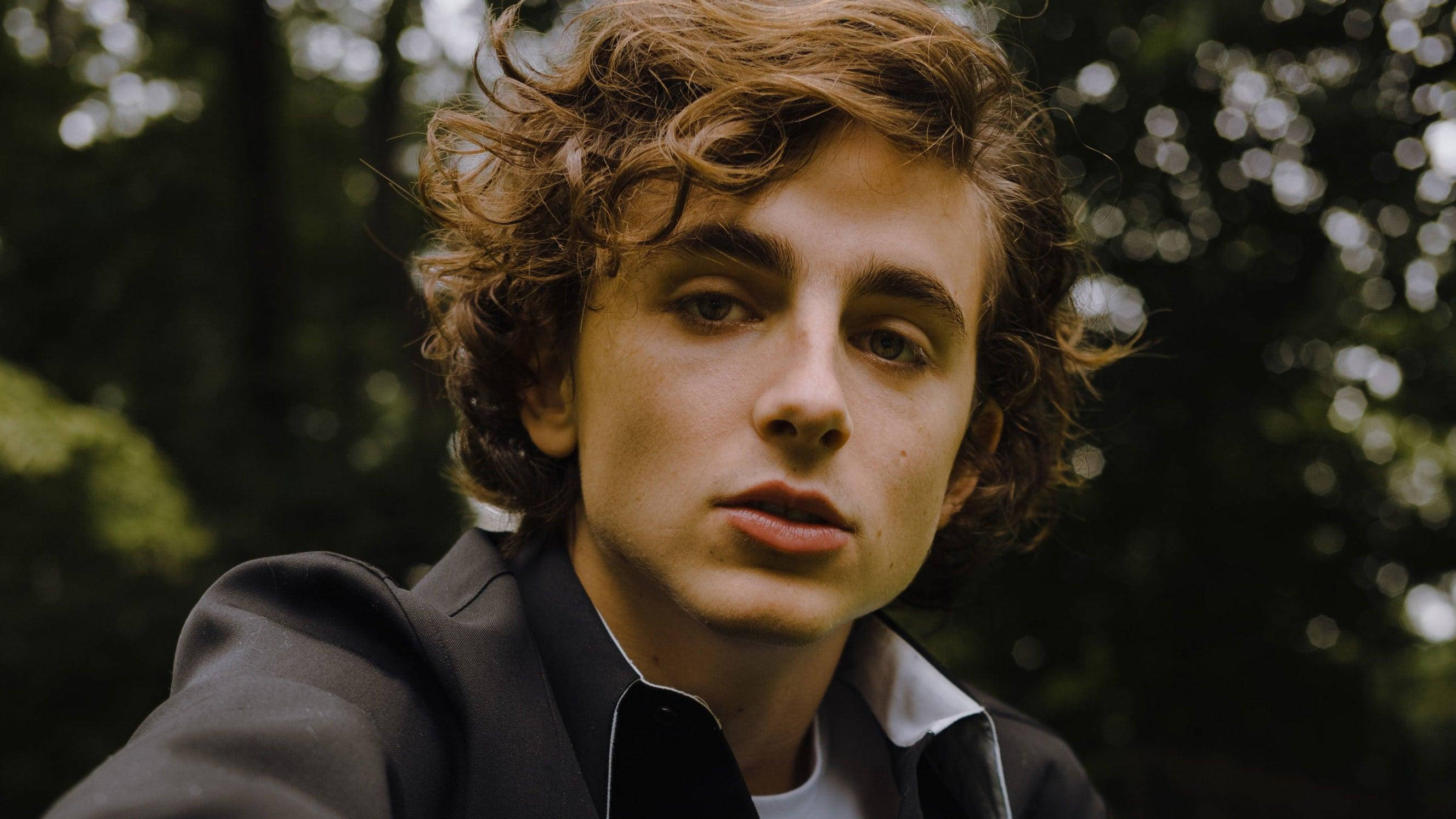 Timothée Chalamet, black suit, tousled brown curls, 2K Desktop Wallpaper