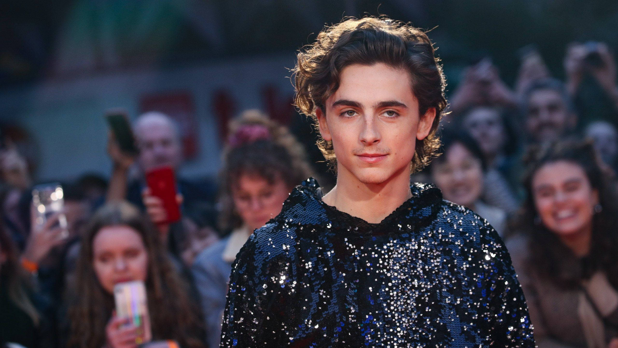 Timothée Chalamet, sparkling blue sequined top, red carpet, 2K Desktop Wallpaper